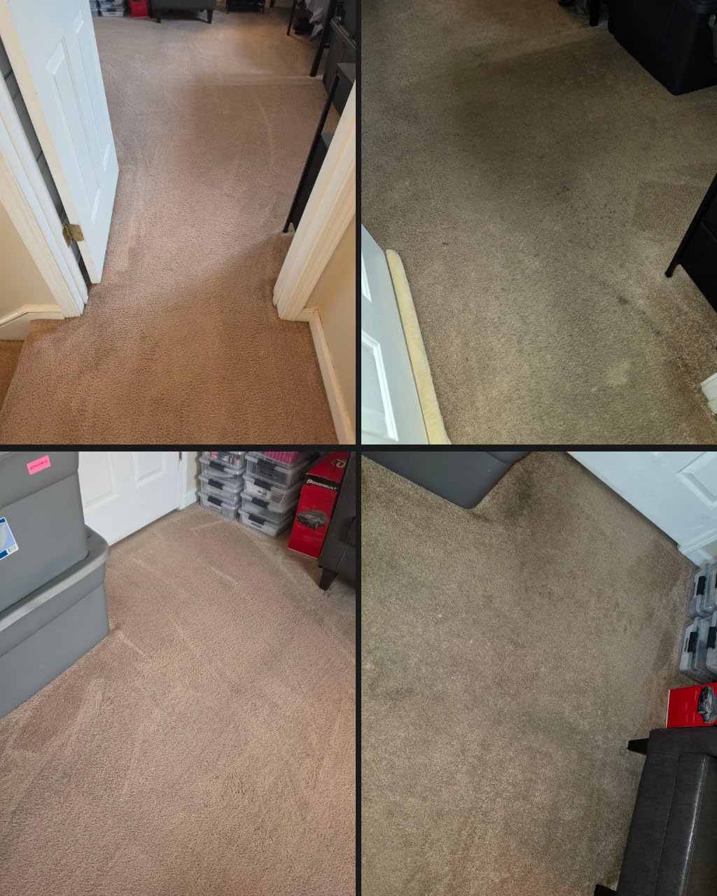 Hoover PowerDash Pet Compact Carpet Cleaner Machine, Lightweight Design, HeatForce Fast Drying, Antimicrobial Brush Roll, Pair with a Hoover Carpet Cleaner Solution customer photo 2