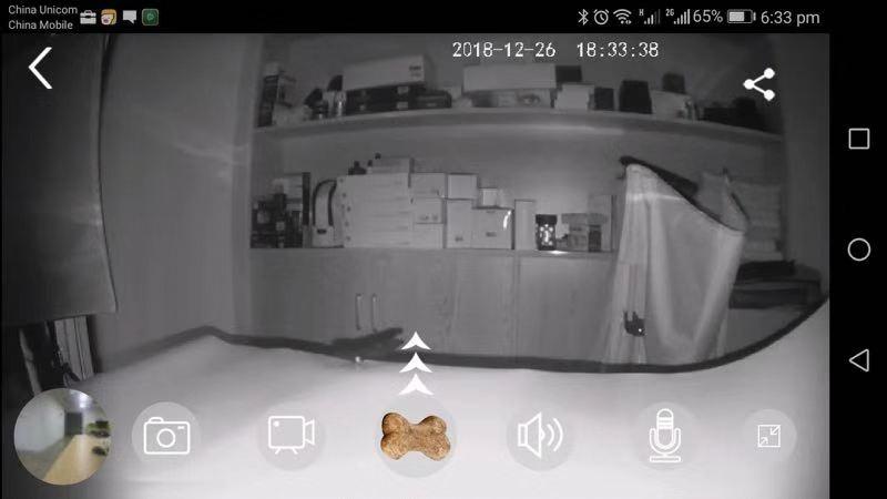 Dog Camera Treat Dispenser, WiFi Full HD Pet Camera with Two-Way Audio and Night Vision, Compatible with Alexa (2.4G WiFi ONLY) (Petalk AI) customer photo 1