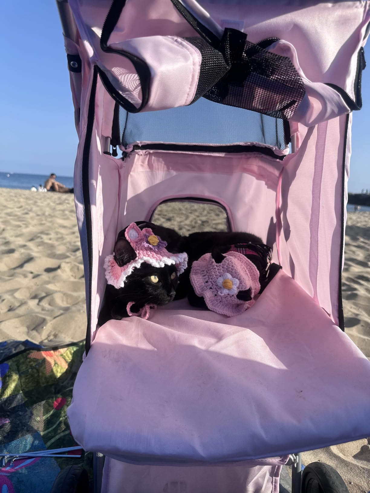 TRIXIE Foldable Pet Stroller for Cats and Dogs, Pet Carrier Strolling Cart with Weather Cover, Storage Basket, Cup Holder, Black customer photo 1