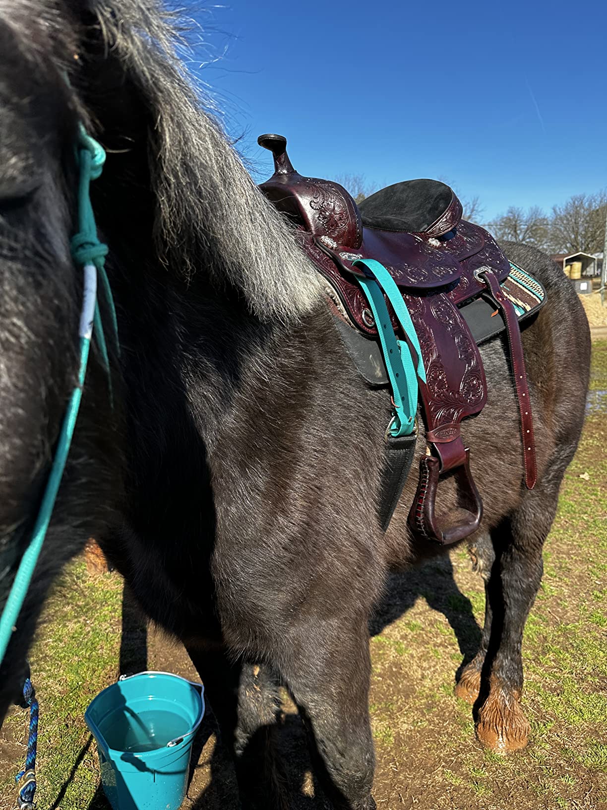 HILASON Western Draft Horse Trail Pleasure American Leather Saddle customer photo 1