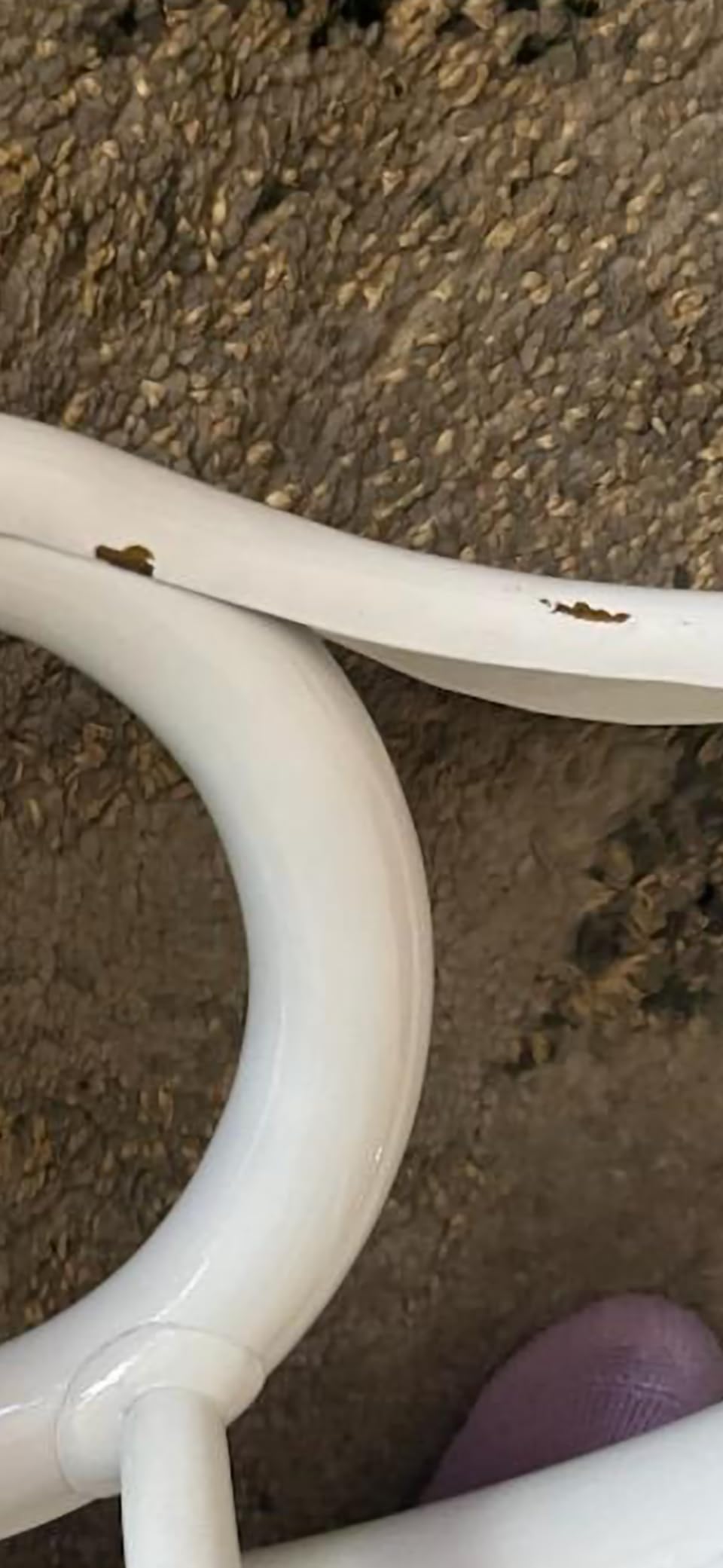 Brass Sousaphone Bb Big Bell Tubas | White Brass Includes Carry Bag & Mouthpiece | Handmade Musical Instrument Gift For Marching Bands customer photo 2