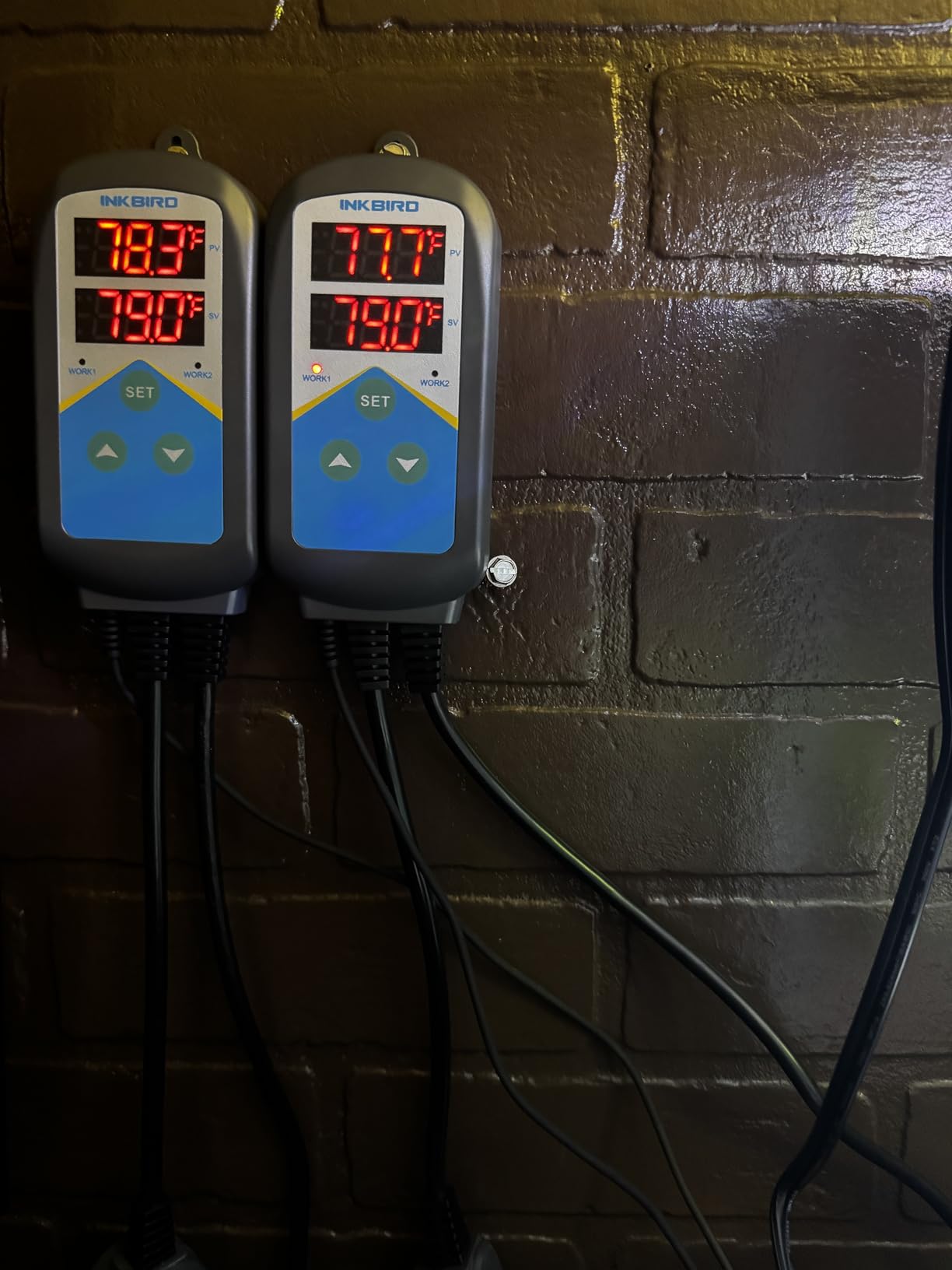 Inkbird Aquarium Heater with Probe Thermostat Fish Ornamental Shrimp Reef Tanks 24 Hours Double Time with Day Night Automatic Temperature Controller customer photo 2