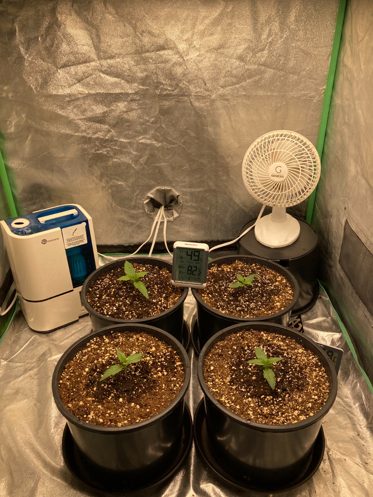 MARS HYDRO TS1000 150W LED Grow Light for Indoor Plants, with Patented Reflector, 5 Levels Dimmable Lights Daisy Chain Full Spectrum Growing Lamps for Seedlings Veg Bloom in 2x2/3x3 Grow Tent customer photo 1