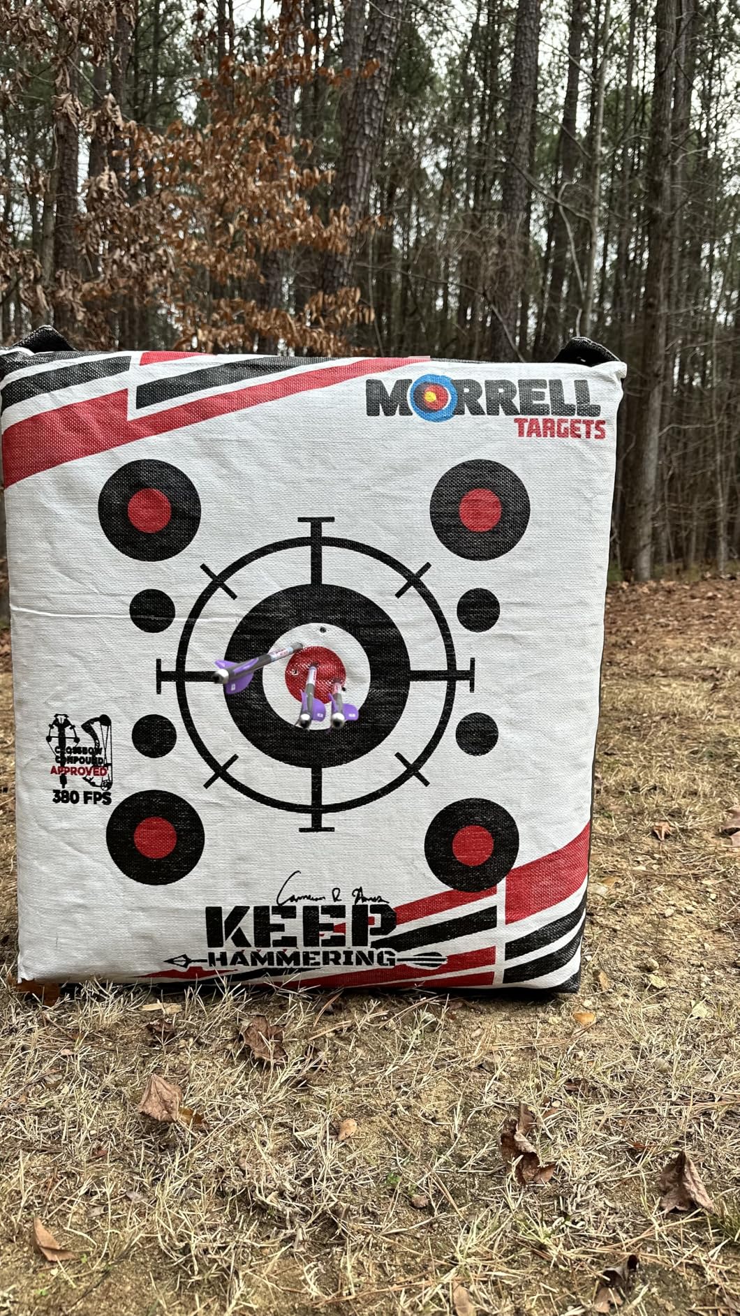 Morrell Vital Signs Combo 2 Field Point/Broadhead Combo Target customer photo 1