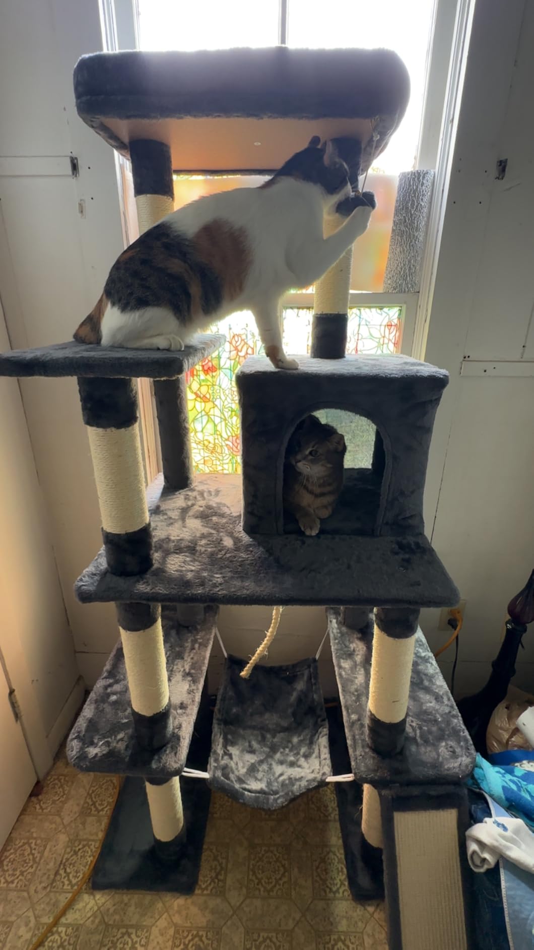 Yaheetech 63in Large Cat Tree for Heavy Cats up to 22lbs, Anti-Wobble Tower with Condo & Hammock, Space-Saving for Indoor Multi-Pet Households customer photo 2