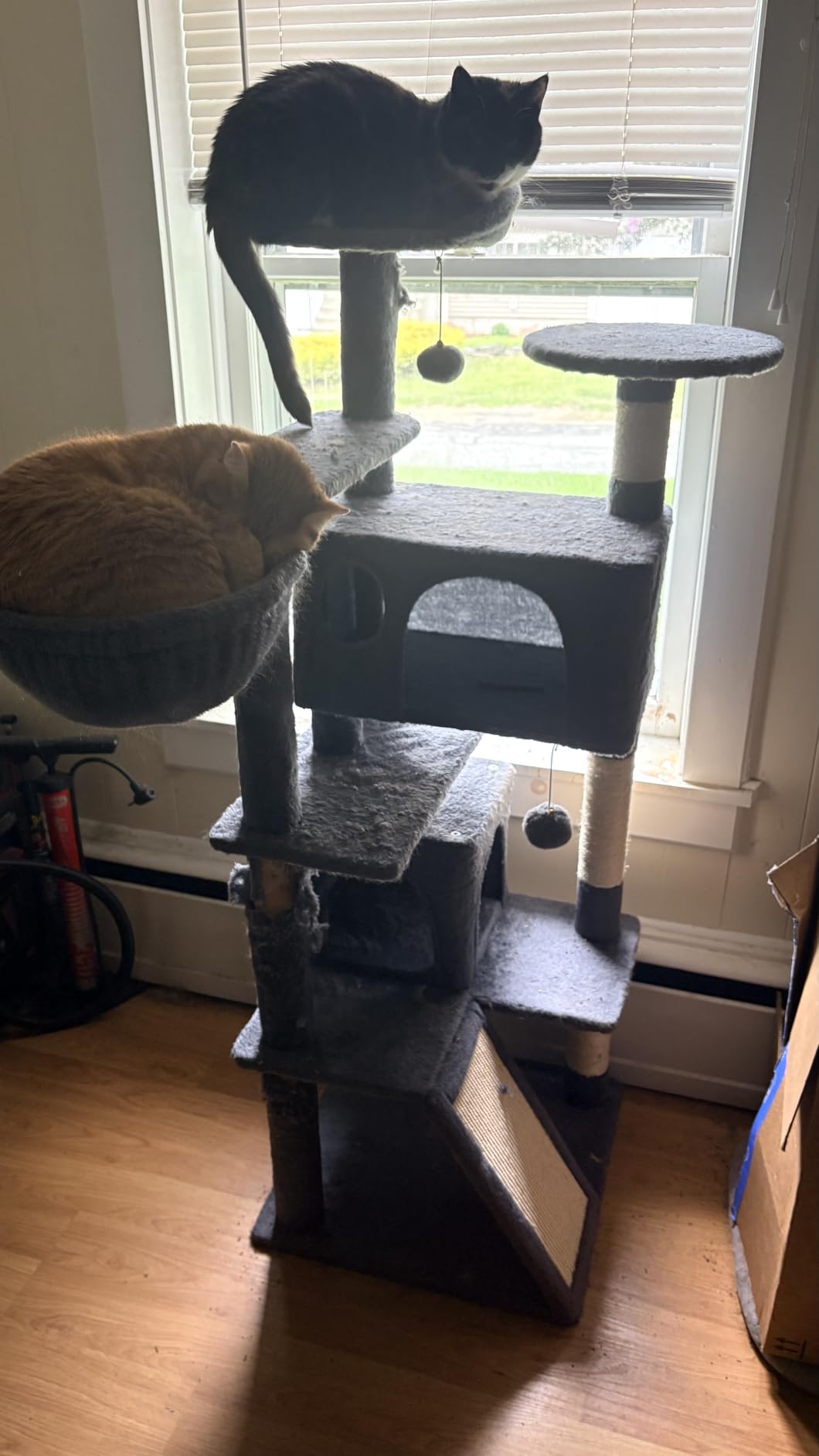 Topeakmart 57 inches Multi-Level Cat Tree Cat Condo with Scratching Posts Kittens Activity Tower Pet Play House Furniture customer photo 1