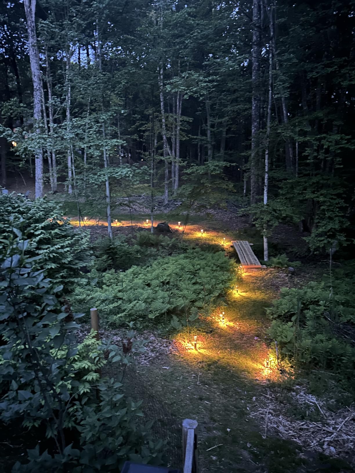 LEONLITE Low Voltage Path Lights, 3W LED Landscape Pathway Lights, Outdoor Landscape Lighting for Driveway, Garden, Aluminum, 12-24V AC/DC, ETL, IP65 Waterproof, 3000K Warm White, Black, Pack of 6 customer photo 2