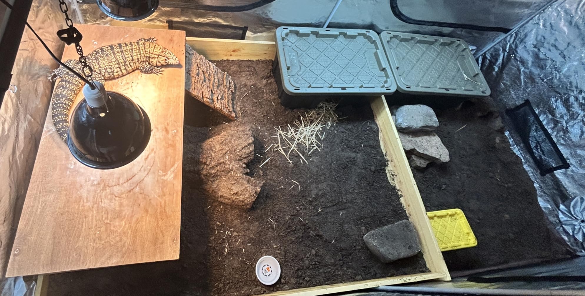 Spider Farmer 4x4 Grow Tent, 48