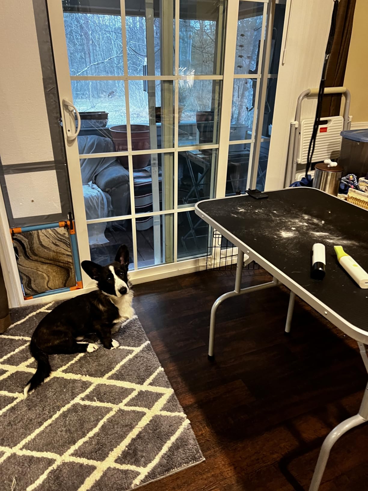Yaheetech 46'' Pet Grooming Table for Large Dogs Adjustable Height Portable Trimming Table Drying Table w/Arm/Noose/Mesh Tray Maximum Capacity Up to 265Lb, Black customer photo 1