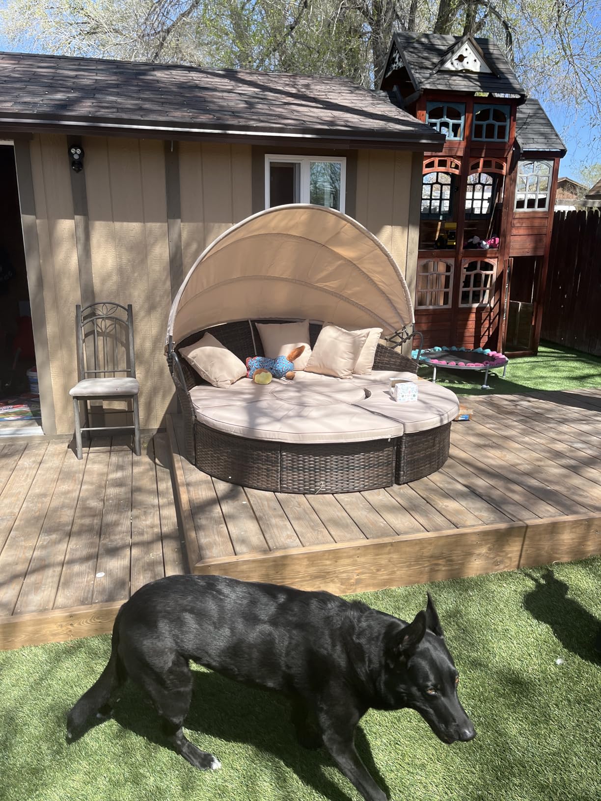 Outdoor Patio Daybed with Retractable Canopy, Wicker Rattan Sectional Round Sofa Furniture Set, 5 Pieces Seating Separates Cushioned Seats for Lawn Garden Backyard Porch Pool, Brown customer photo 1