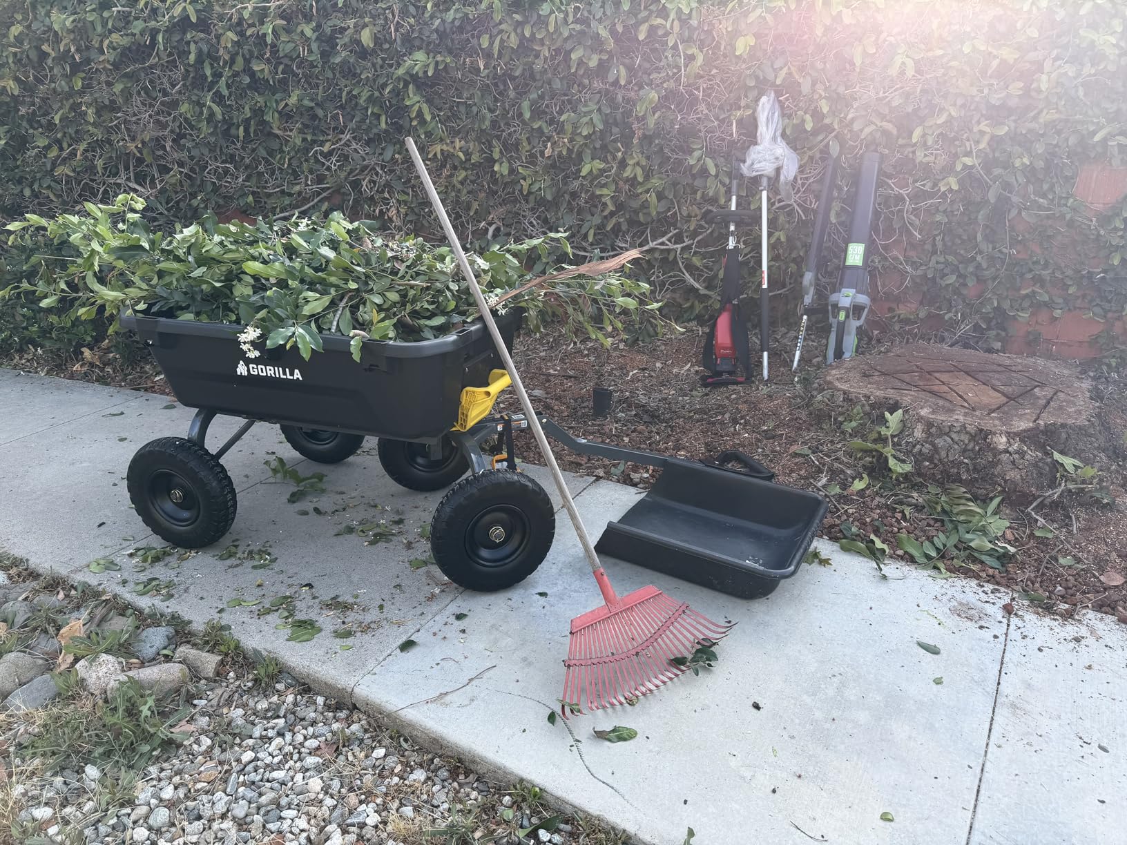 Gorilla Carts Heavy-Duty Dump Cart, Patented Quick-Release Dumping, Steel Frame, 600 lb Capacity, No-Flat 10-Inch Tires, Utility Wagon for Garden, Yard, Beach customer photo 2