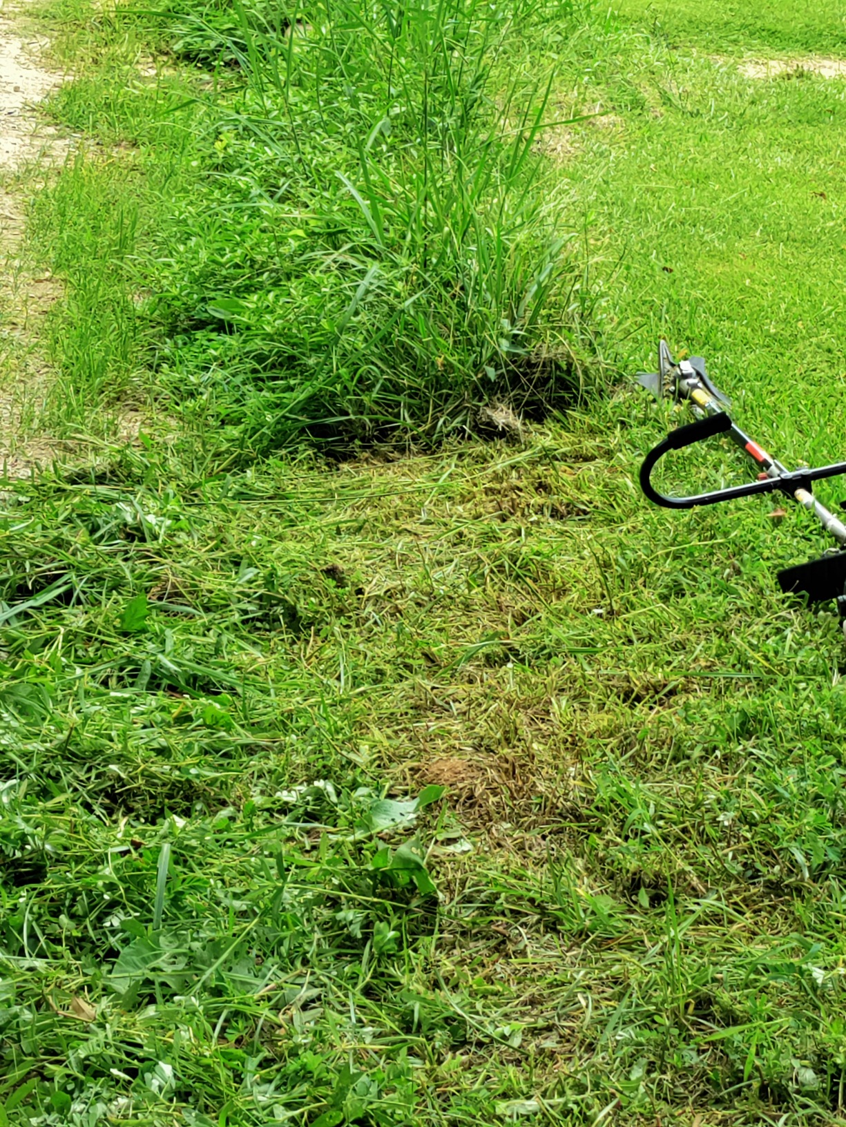 TrimmerPlus Brush Cutter Attachment for Compatible Gas Powered Multi-Use Outdoor Equipment (TPB720) customer photo 2