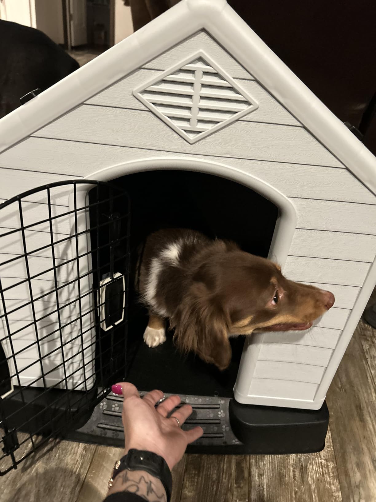 Bonnlo Plastic Dog House, Pet Dog Kennel Water Resistant for Small Medium Sized Dogs with Door, Indoor & Outdoor Use (32.7