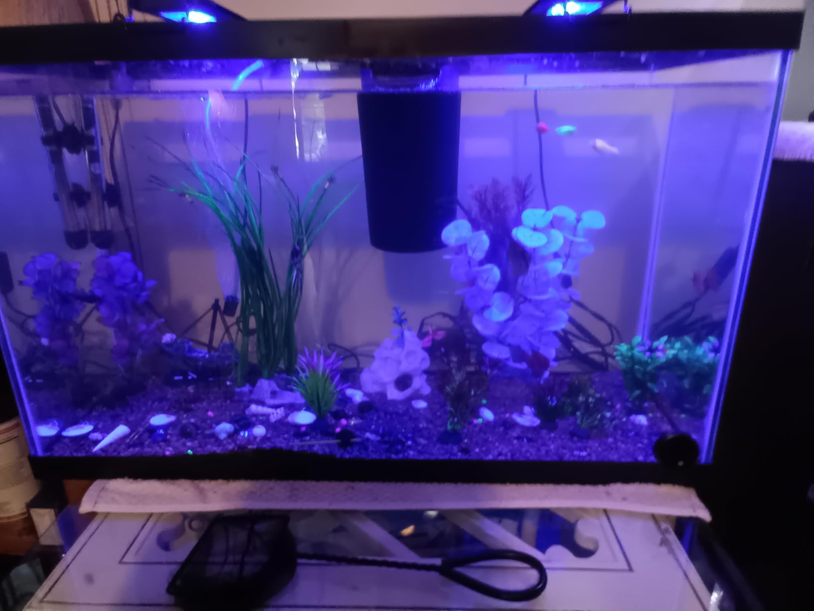 Tetra Glass Aquarium 55 Gallons, Rectangular Fish Tank (NV52018) customer photo 1