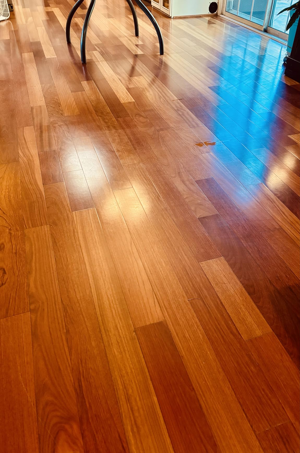 Bissell SpinWave Hard Floor Expert Corded Spin Mop Cleaner with Washable mop Pads for Sealed Hard Floors, 20393 customer photo 2