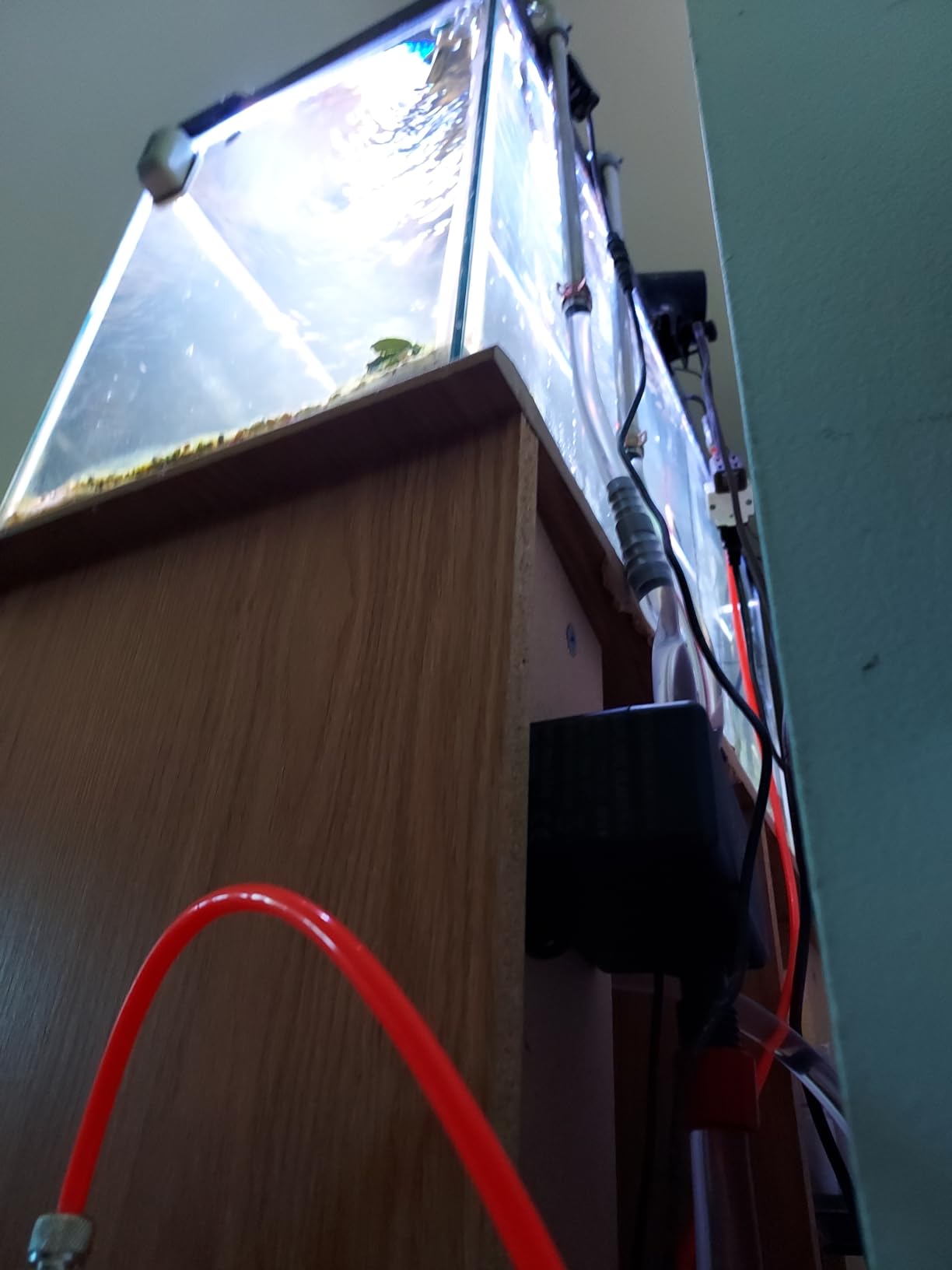 Fluval in Line UVC Clarifier for Aquarium Filters customer photo 2