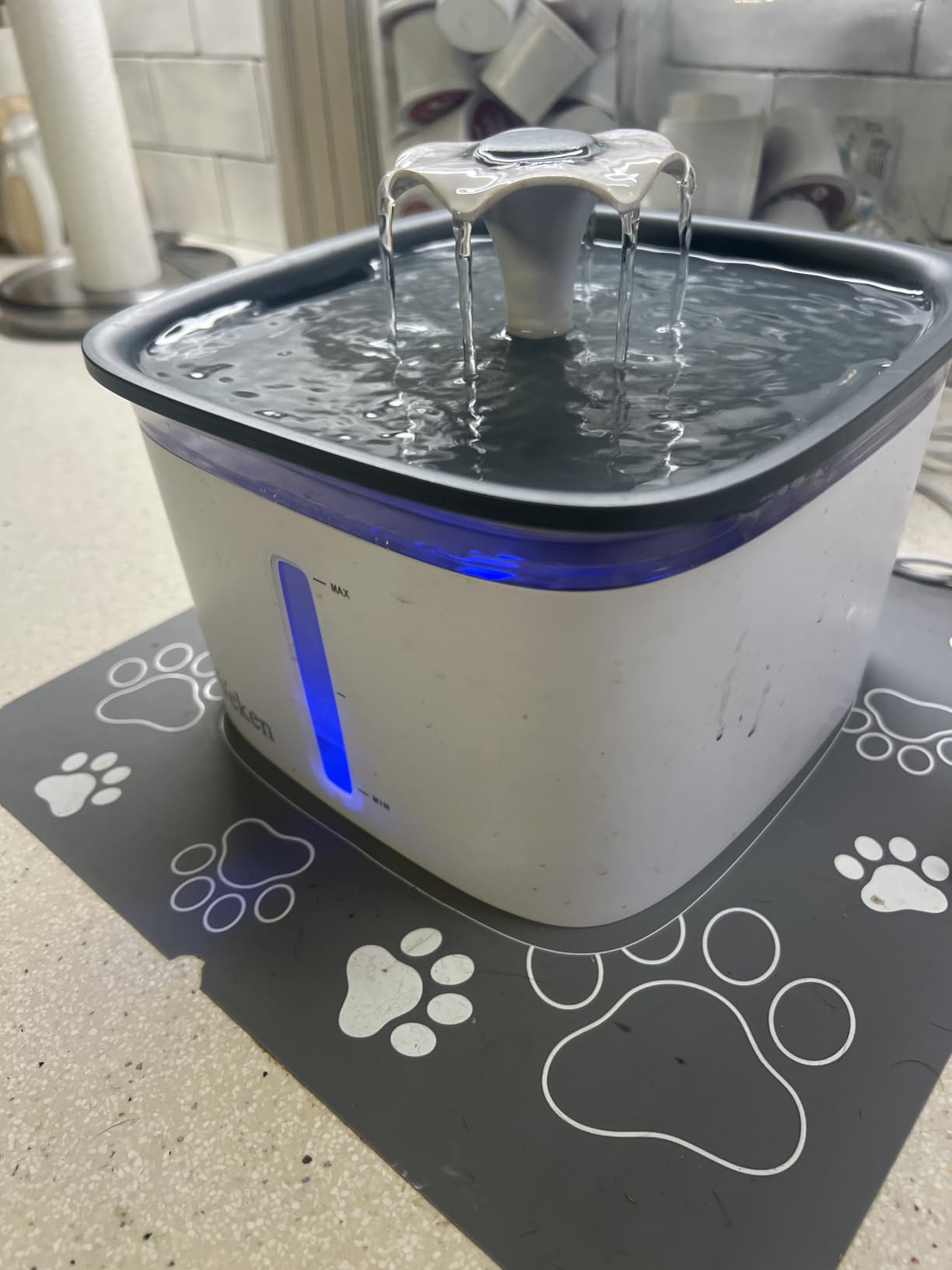 Veken Innovation Award Winner 95oz/2.8L Pet Fountain, Automatic Cat Water Fountain Dog Water Dispenser with Replacement Filters for Cats, Dogs, Multiple Pets (Grey, Plastic) customer photo 2