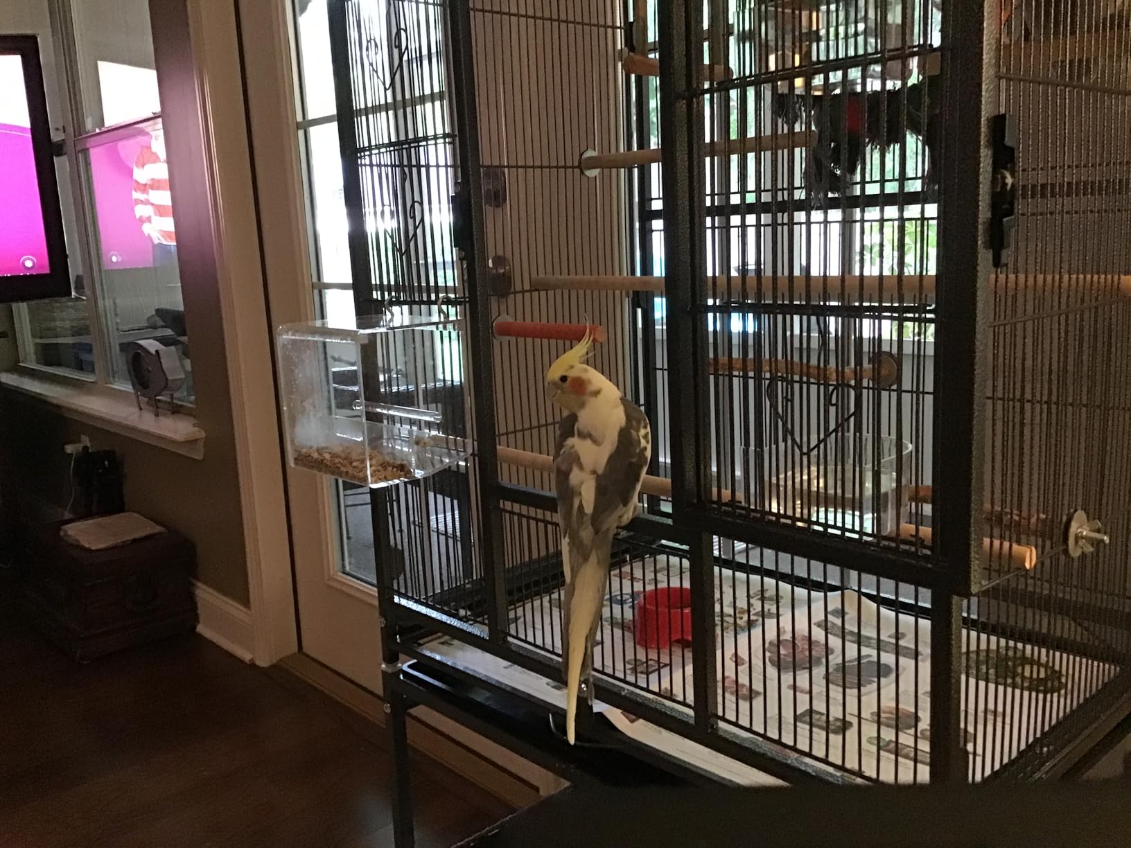 VIVOHOME 54 Inch Wrought Iron Large Bird Flight Cage with Rolling Stand for Parakeets Canaries Cockatiels Lovebirds Conures, Black customer photo 1