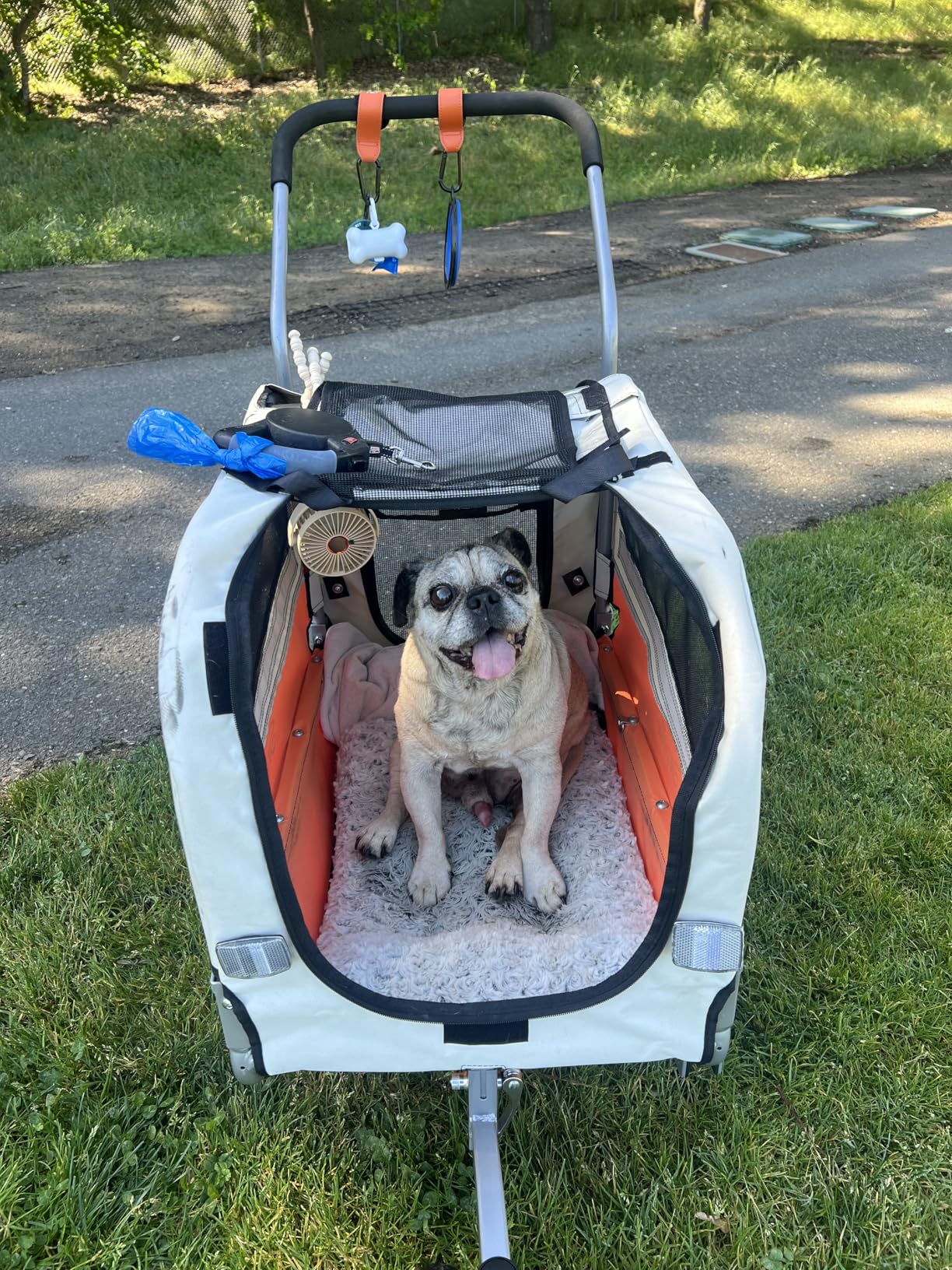 Sepnine 2 in 1 Pet Bicycle Trailer with a 6
