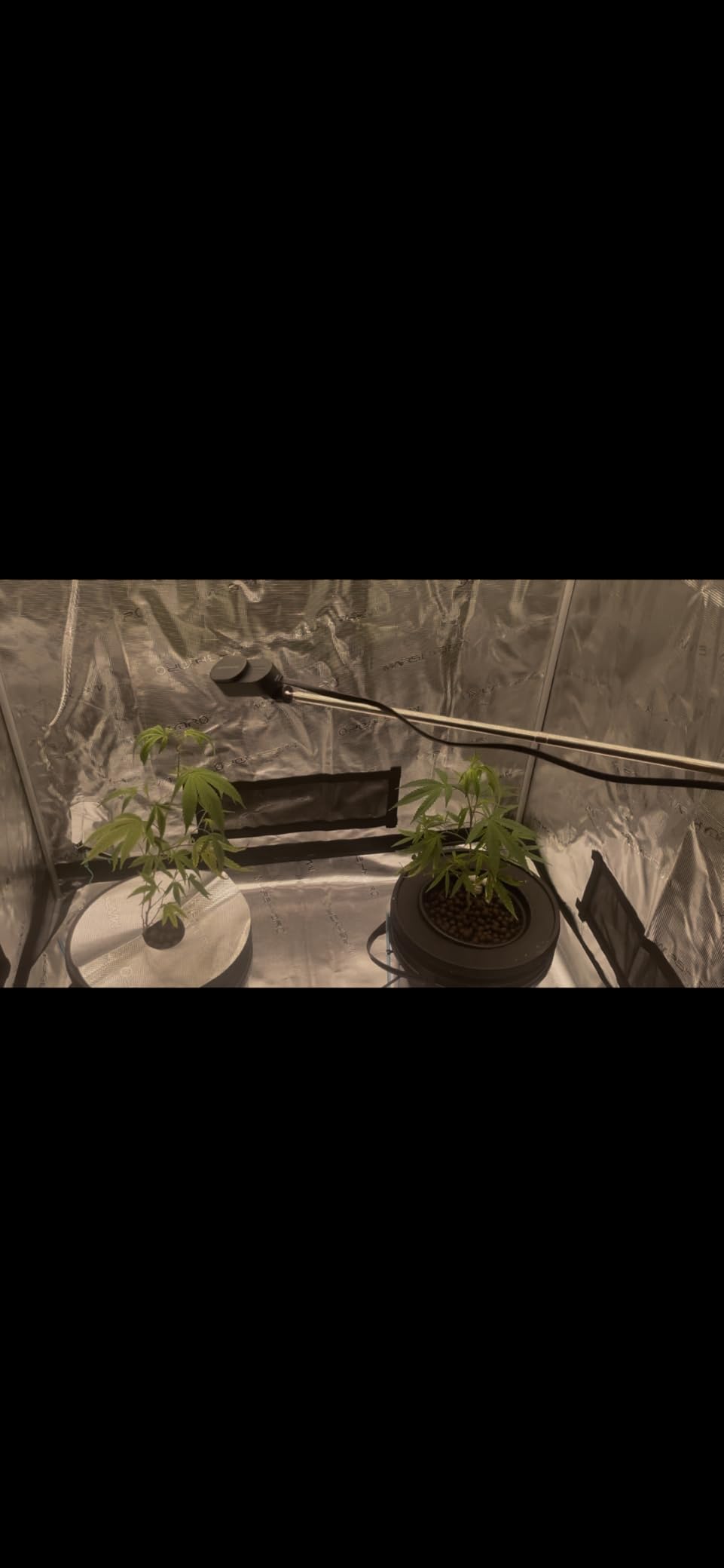 MARS HYDRO 2x2x3 Advanced Grow Tent, 24