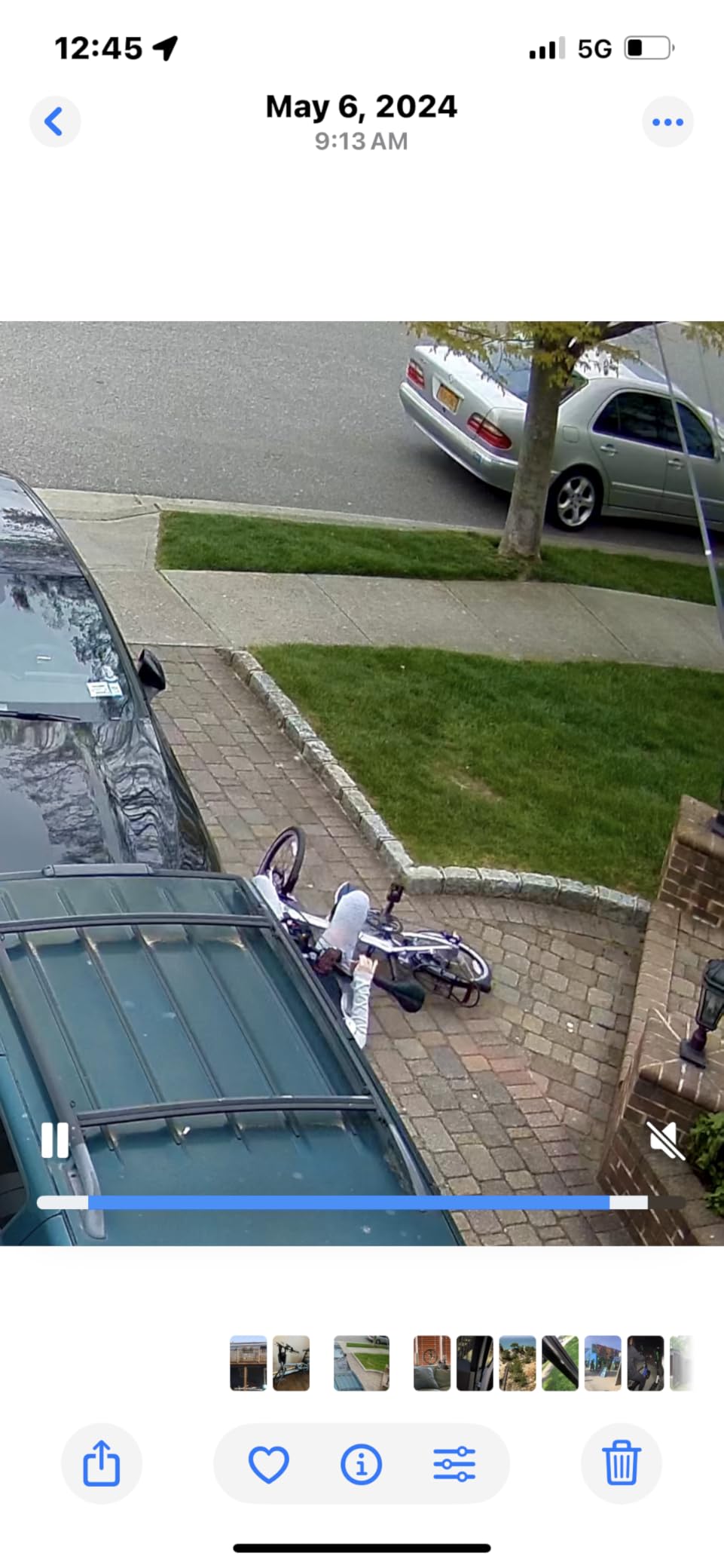 Dahon Mariner D8 Folding Bike (Brushed) customer photo 1