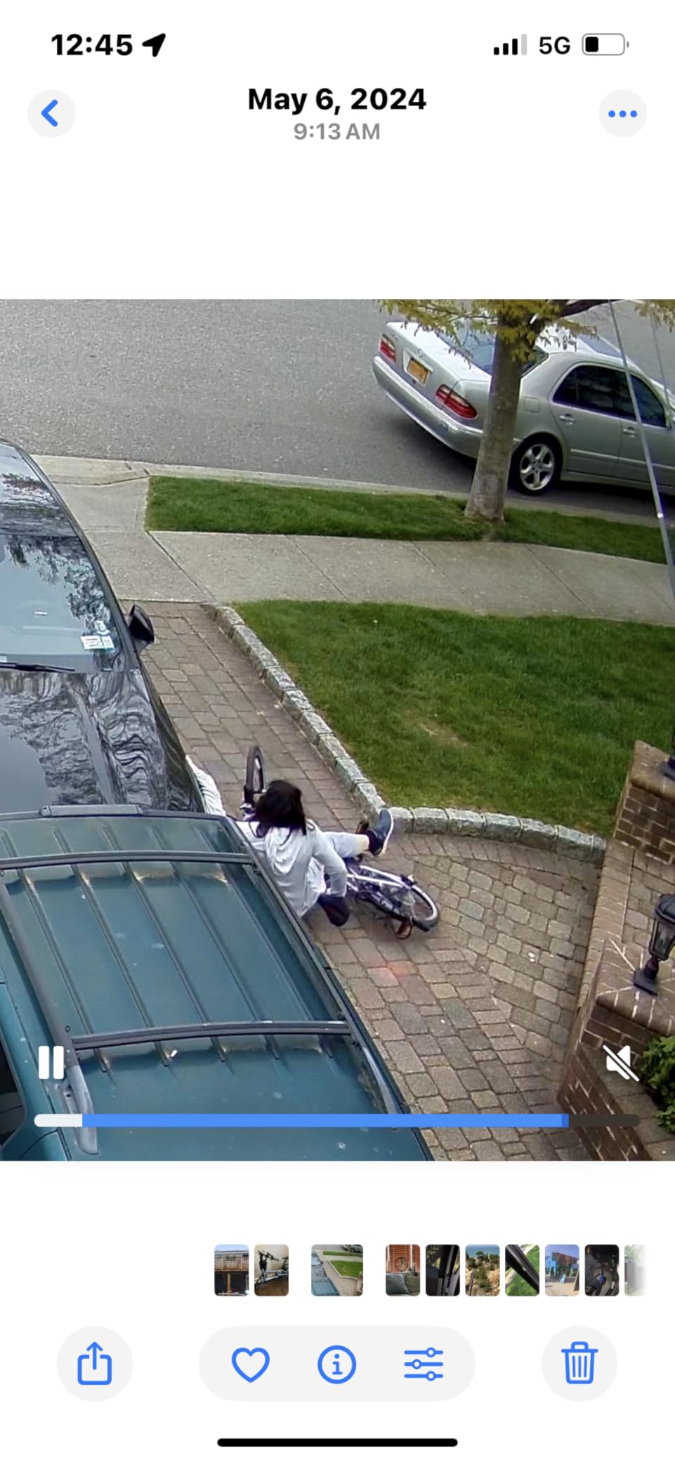 Dahon Mariner D8 Folding Bike (Brushed) customer photo 2