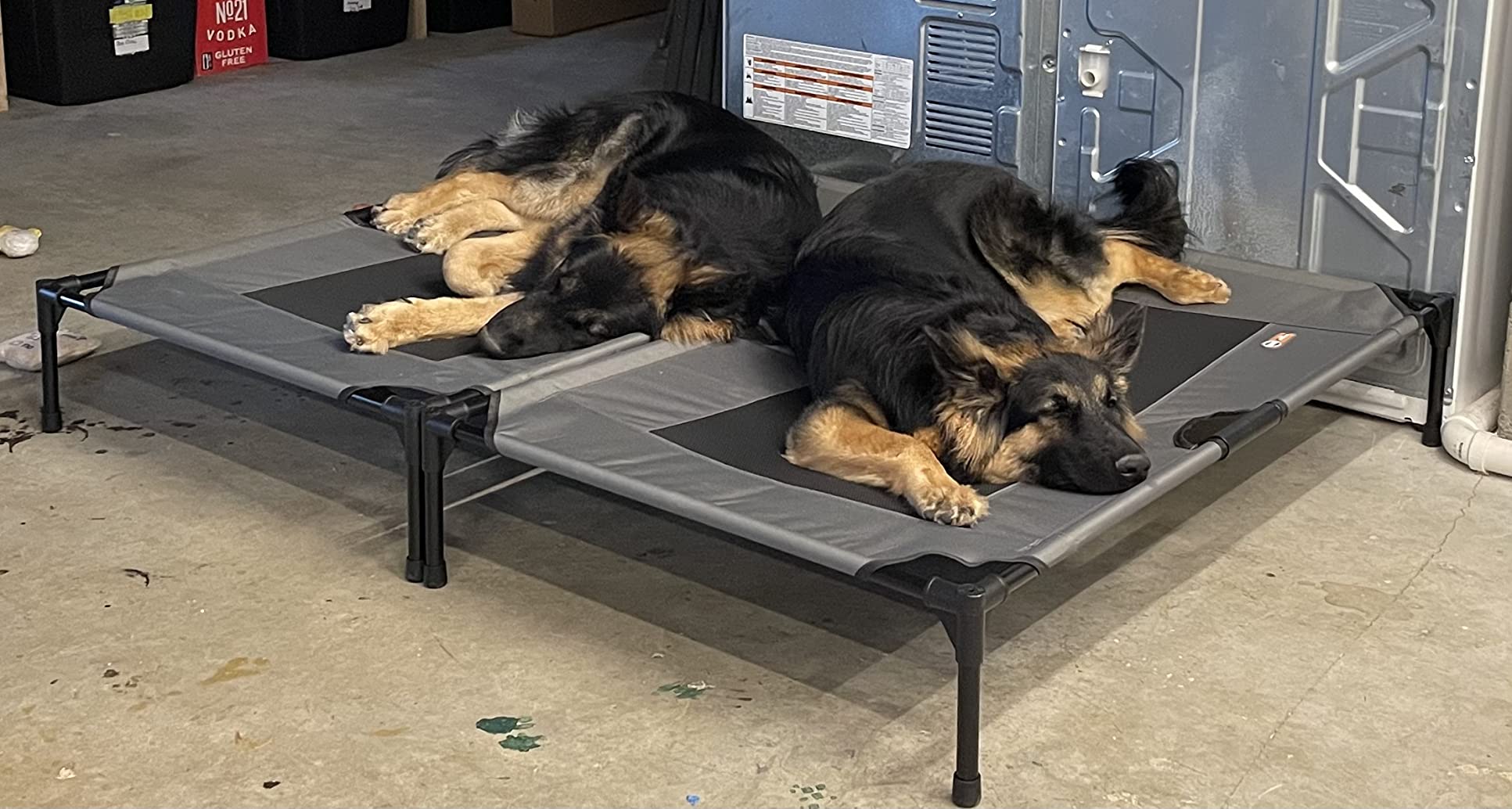 K&H Outdoor Elevated Dog Bed - Cooling Raised Dog Bed for Medium & Large Pets, Breathable Mesh Hammock Design, Indoor/Outdoor Washable Cover, Portable Metal Frame, Tan, Large 42x30in customer photo 1