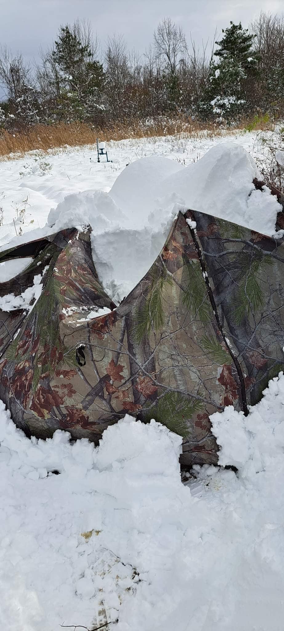 Barronett Blinds Feather Five Portable Hunting Blind, Huge Interior, Lightweight, 4-Person, Bloodtrail Backwoods customer photo 1