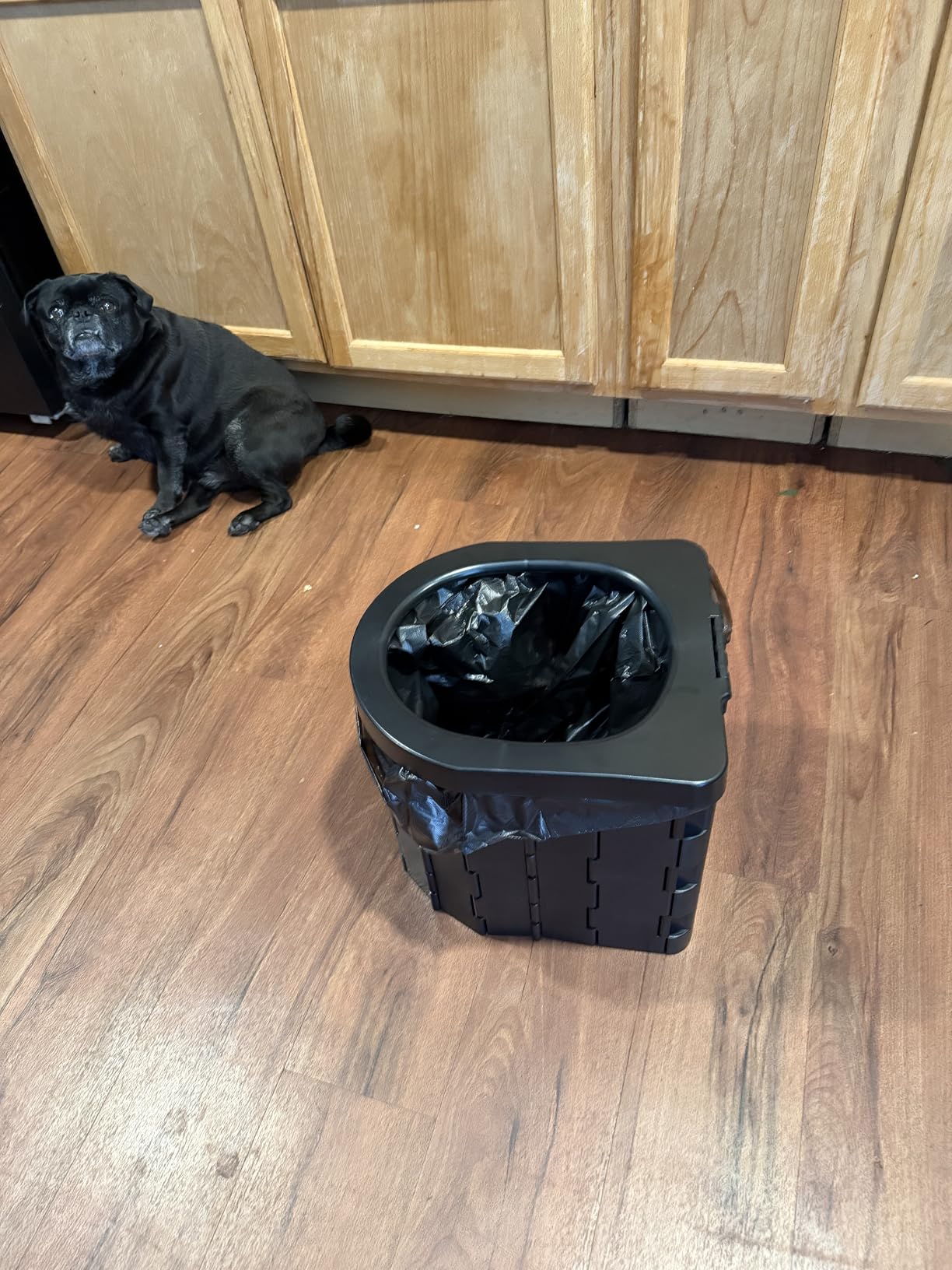 Portable Toilet for Camping, Potty Adults, Porta Travel Commode Bucket Car, Travel, Outdoor, Hiking, Backpack, Trips, Tent, Boat, Beach, Traffic Jam, Home customer photo 2