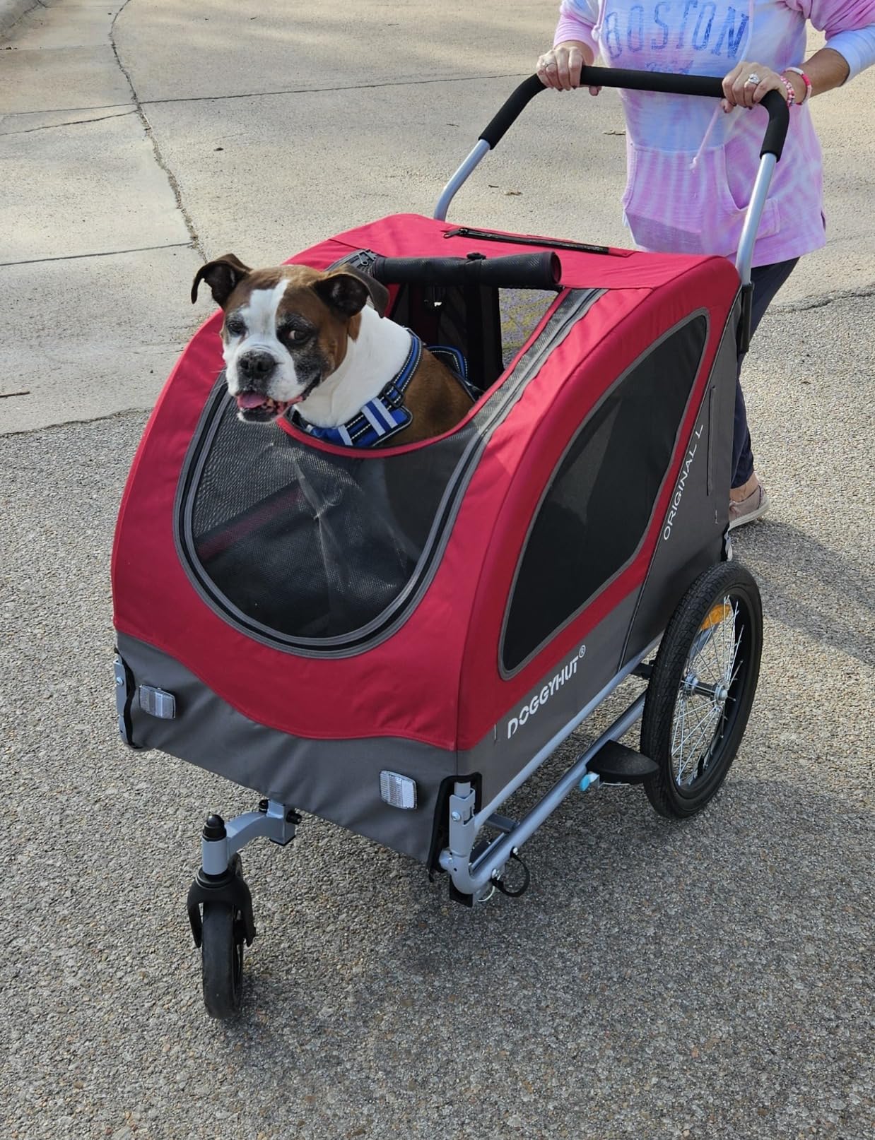 Doggyhut Original Large Pet Bike Trailer & Stroller 2-in-1,for Dogs up to 78 lbs,Parking Brakes,Easy Folding Cart Frame, Quick Release Wheel, Universal Bicycle Coupler (Gray) customer photo 2
