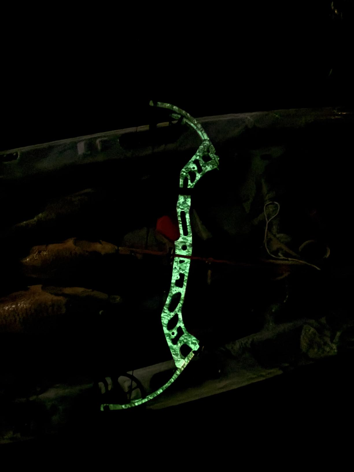 Cajun Bowfishing Sucker Punch Pro Bowfishing Bow customer photo 1