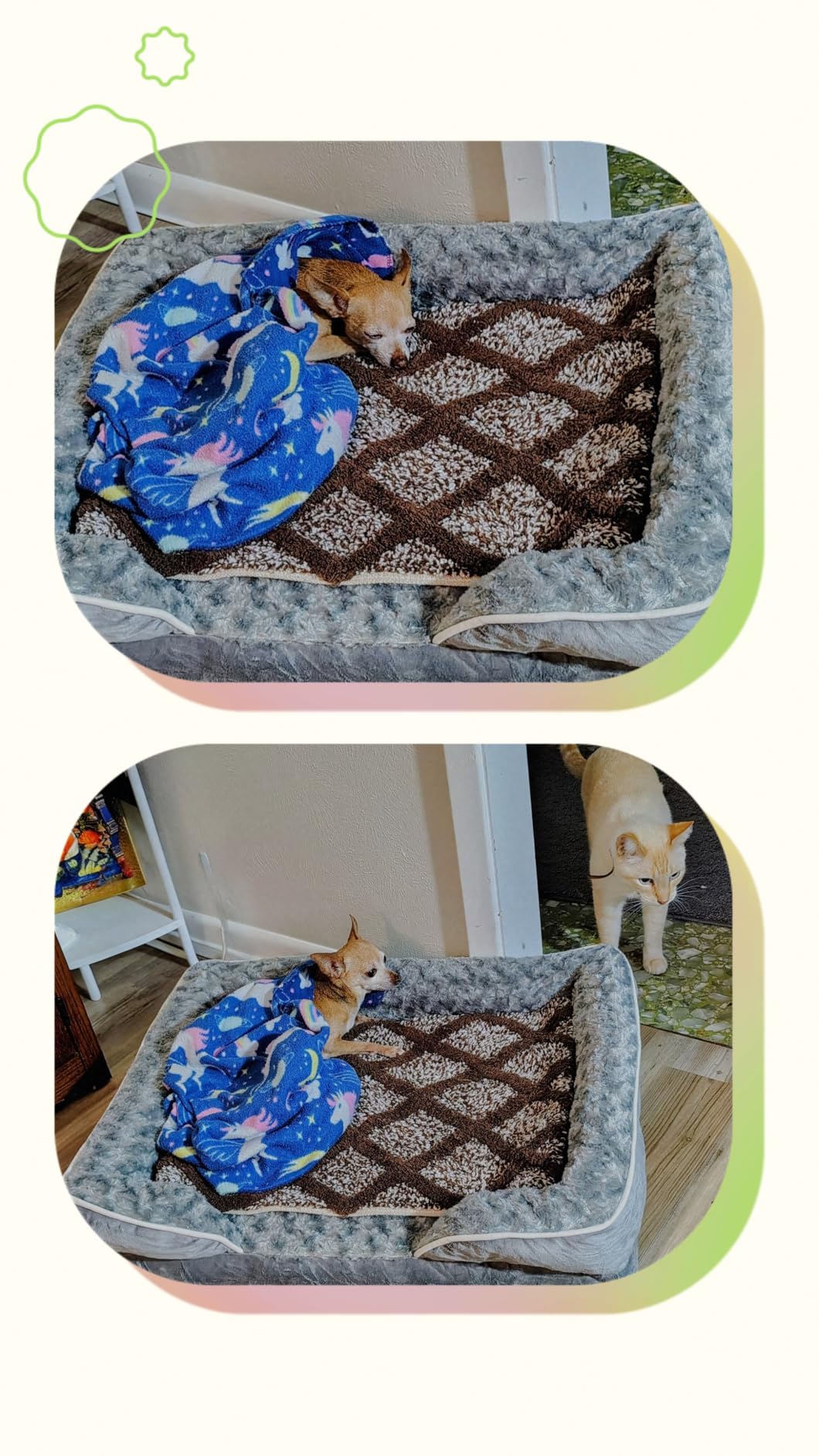 WNPETHOME Dog Beds for Large Sized Dogs, Washable Orthopedic Dog Couch Sofa Bed with Waterproof Lining & Non-Skid Bottom for Pet Sleeping customer photo 1