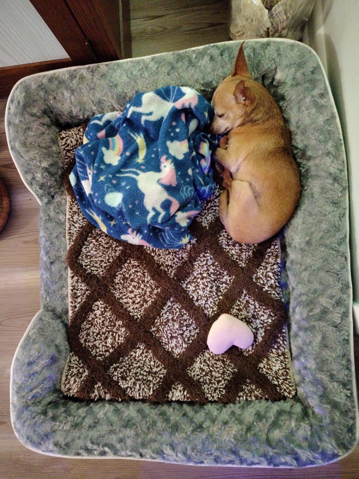 WNPETHOME Dog Beds for Large Sized Dogs, Washable Orthopedic Dog Couch Sofa Bed with Waterproof Lining & Non-Skid Bottom for Pet Sleeping customer photo 2