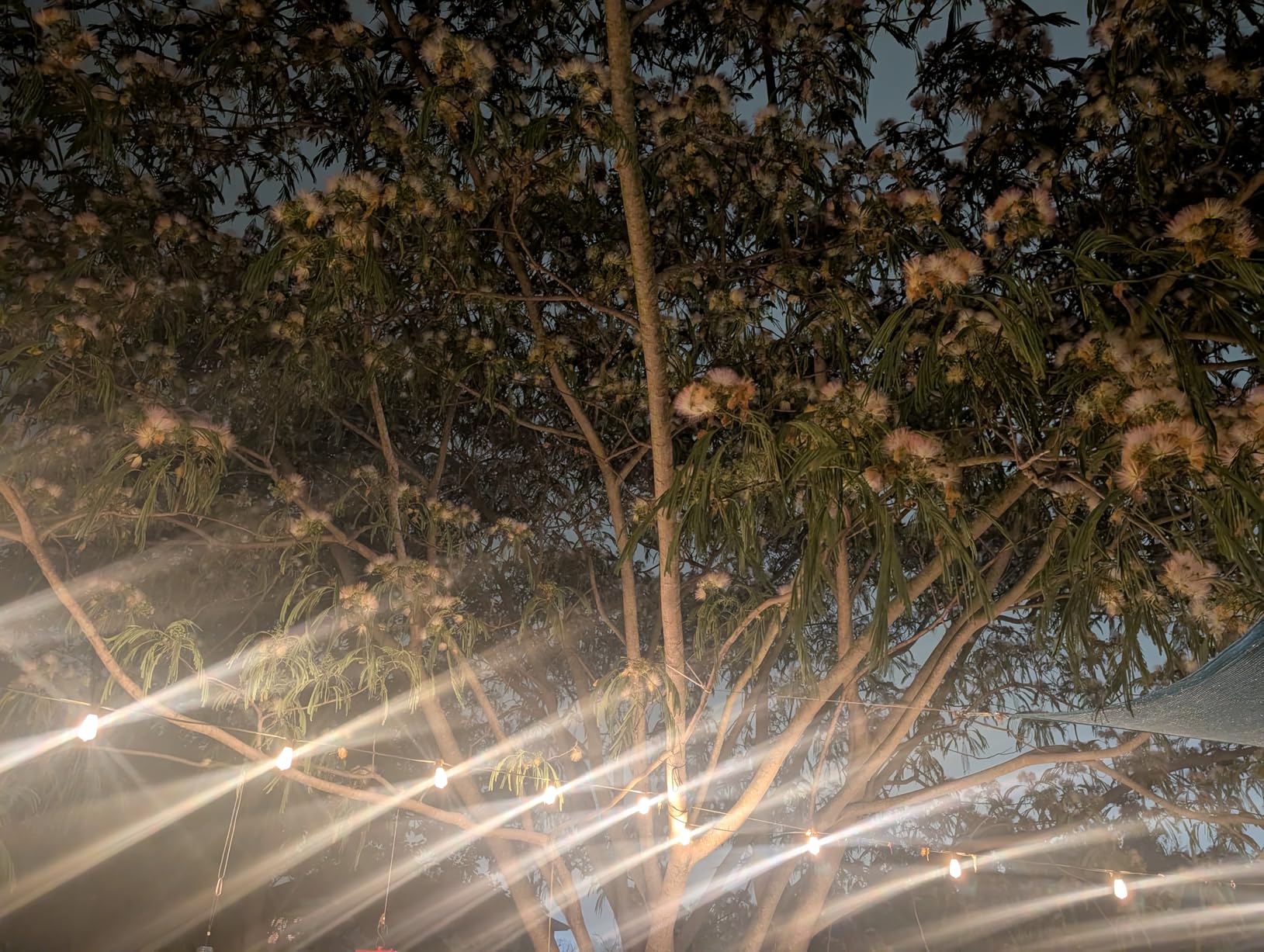 Brightever LED Outdoor String Lights 100FT Patio Lights with 52 Shatterproof ST38 Vintage Edison Bulbs, Outside Hanging Light Waterproof for Porch, Deck, Garden, Backyard, Balcony, 2700K Dimmable customer photo 2