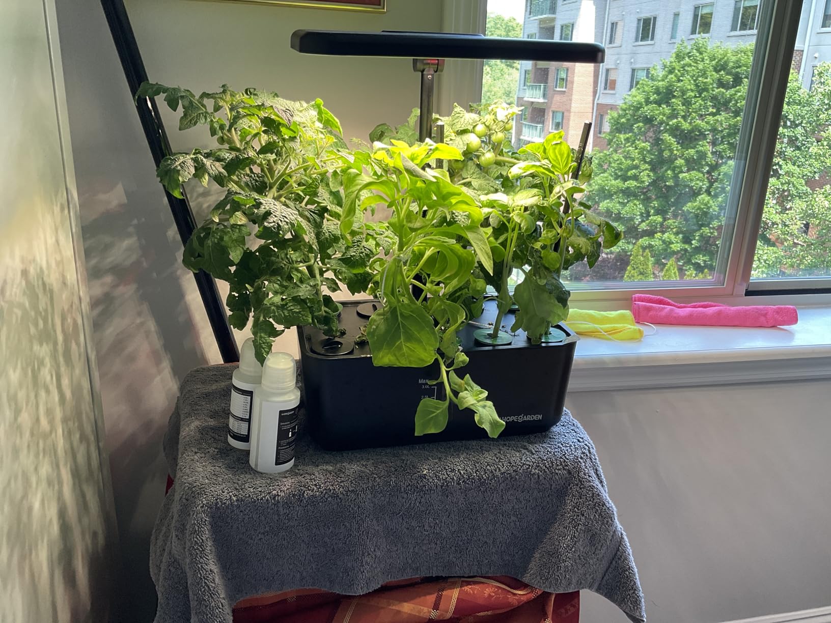 Ahopegarden Indoor Garden Hydroponics Growing System: 10 Pods Plant Germination Kit Herb Vegetable Growth Lamp Countertop with LED Grow Light - Hydrophonic Planter Grower Harvest Lettuce customer photo 1