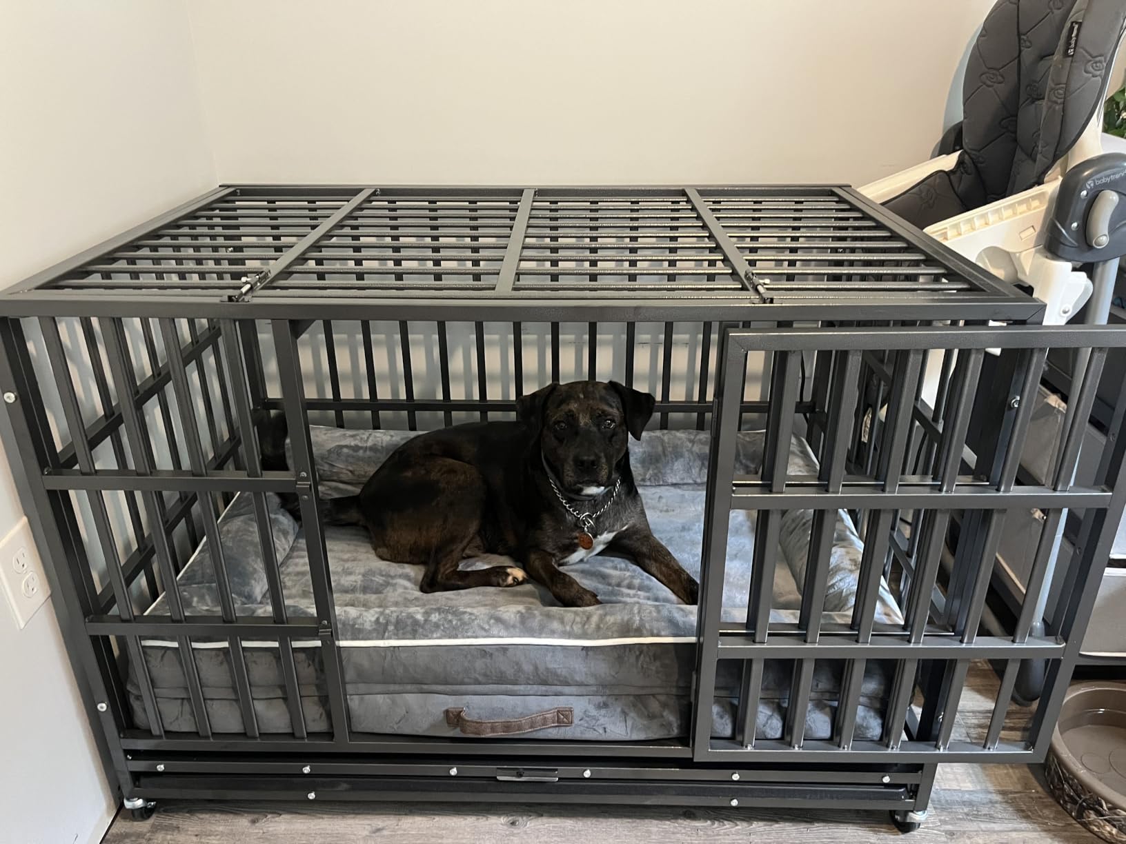 Hiwokk 48 Inch Heavy Duty Dog Crate, Indestructible Escape-Proof Dog Kennel for High Anxiety Large Dogs, Strong Metal Pet Cage with Double Doors, Lockable Wheels & Removable Tray, XL XXL XXXL customer photo 1
