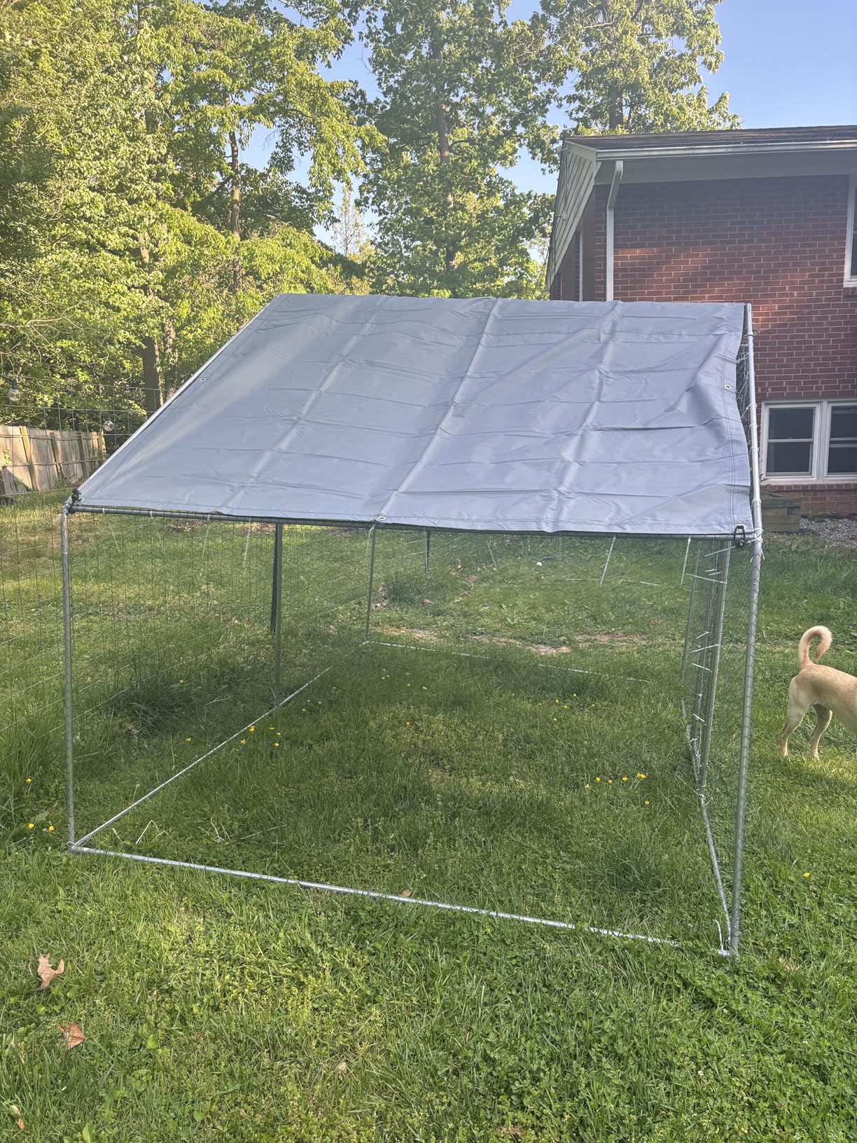 Large Metal Chicken Coop Round Top Upgrade Tri-Supporting Wire Mesh Chicken Run, Chicken Pen with Water-Resident and Anti-UV Cover, Duck Rabbit House Outdoor (Dome Roof 19'L x 9'W x 6.5'H) customer photo 1