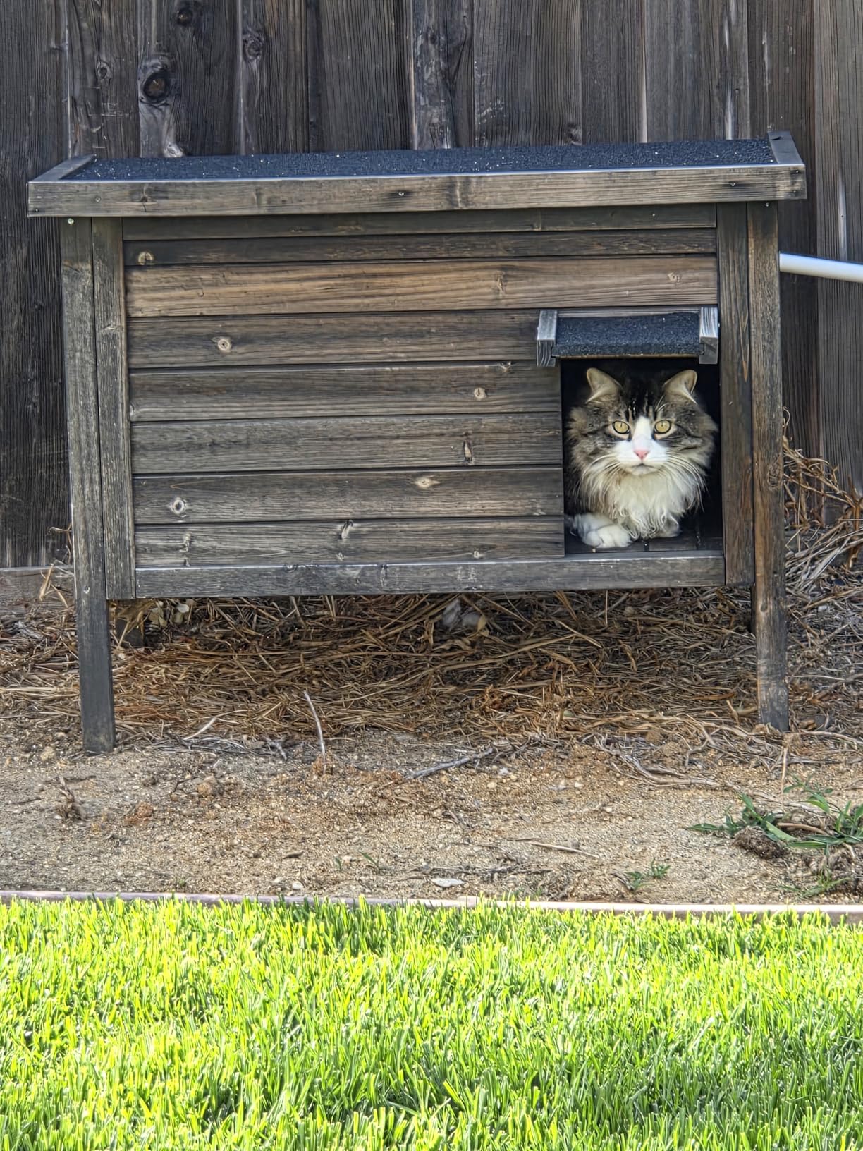 GDLF Outdoor Cat House Feral Cat Enclosure 100% Insulated All-Round Foam Weatherproof Solid Wood Large Size for Multiple Felines 34.5