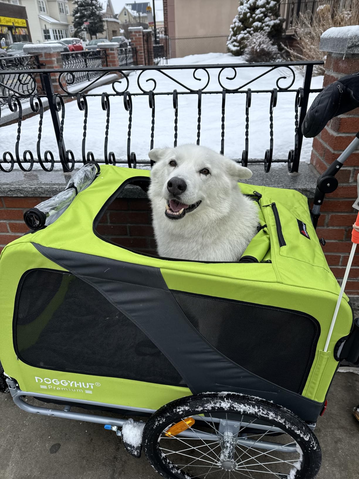 DOGGYHUT Premium Large/XL Pet Bike Trailer & Stroller for Large Sized Dog or Multiple Small Dogs,Low Center of Gravity,Parking Brakes,Easy Folding Frame,Bicycle Carrier customer photo 2