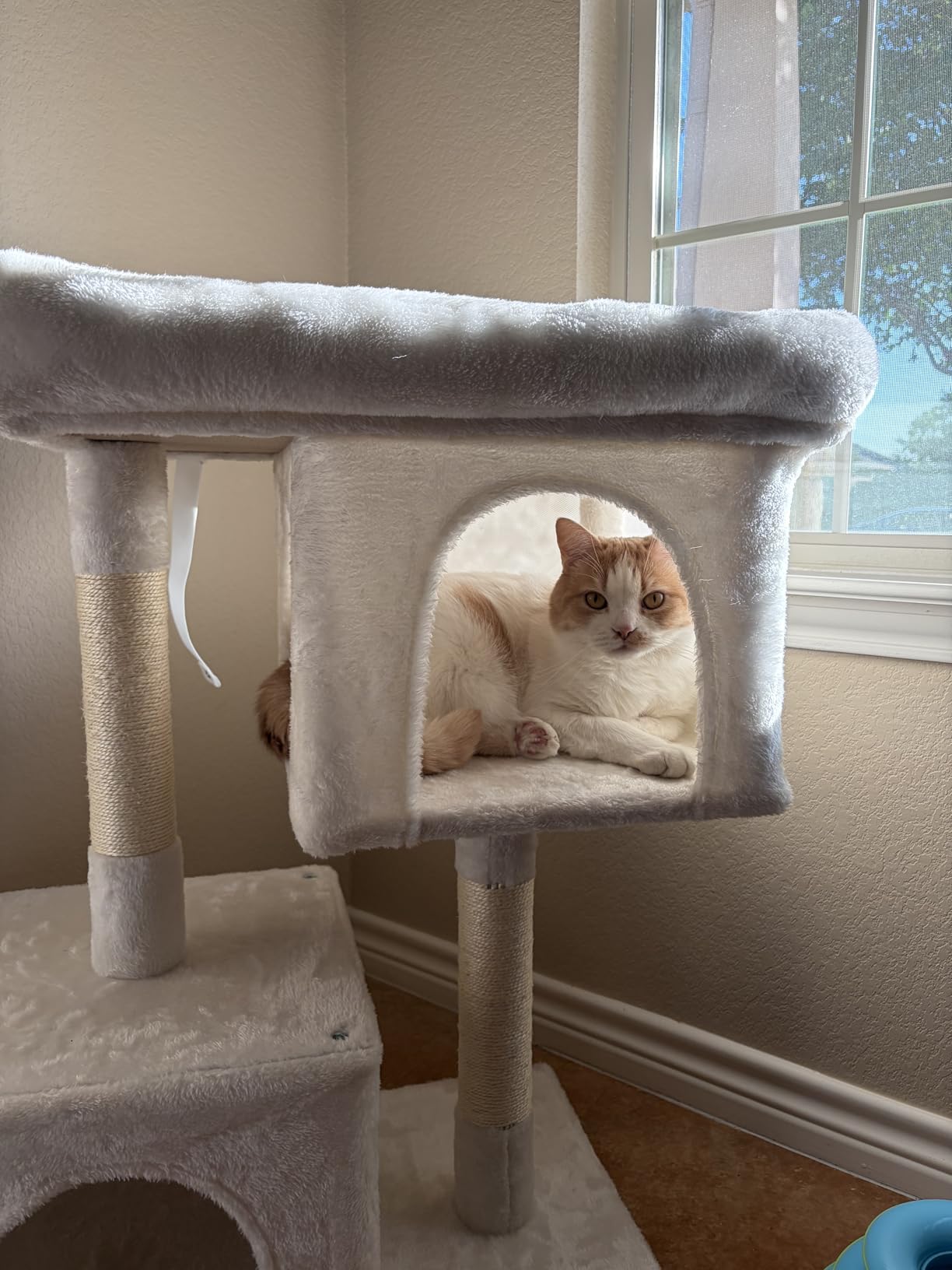 Feandrea Cat Tree, 40.6-Inch Cat Tower, Plush Condo for Extra Large Cats up to 44 lb, Large Perch, 2 Caves, Scratching Post, Light Gray UPCT614W01 customer photo 2
