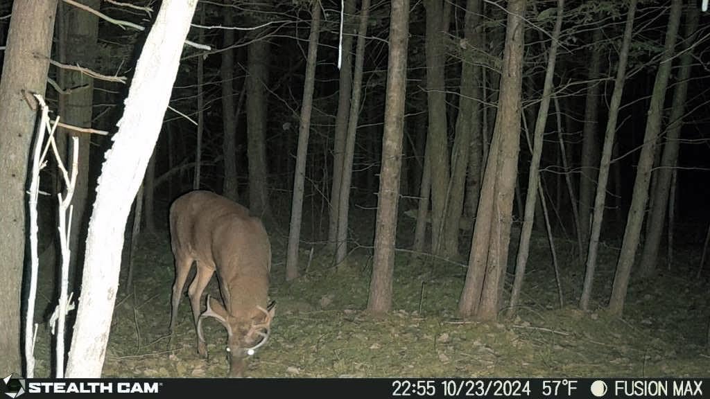 Stealth Cam Fusion X-Pro Dual Sim 36 MP Photo & 720P HD Video 0.4 Sec Trigger Speed Wireless Hunting Trail Camera - Available on AT&T & Verizon customer photo 2