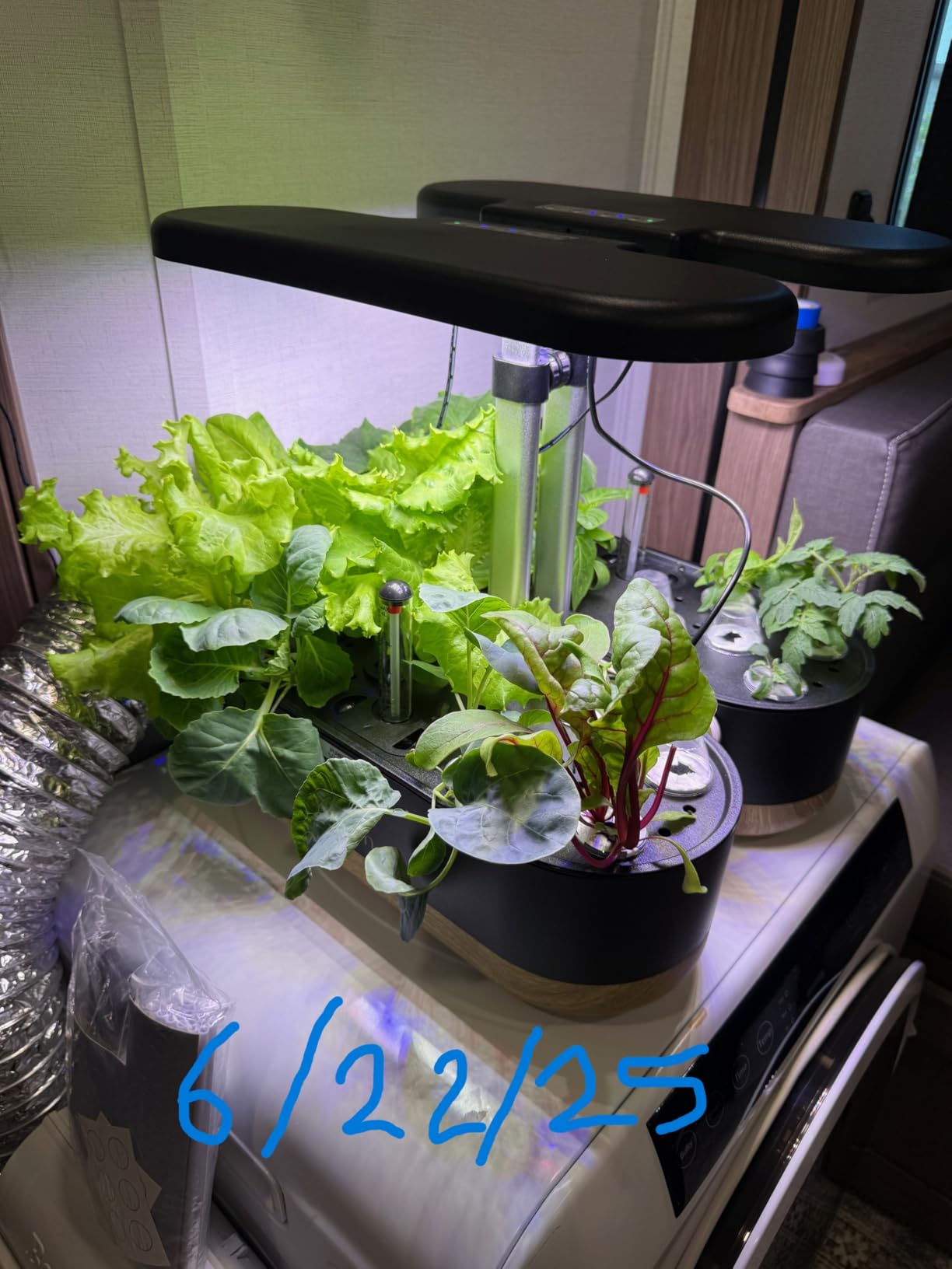 inbloom Hydroponics Growing System 12 Pods, Indoor Herb Garden with LEDs Full-Spectrum Plant Grow Light, Water Shortage Alarm, Automatic Timer, Height Adjustable customer photo 2