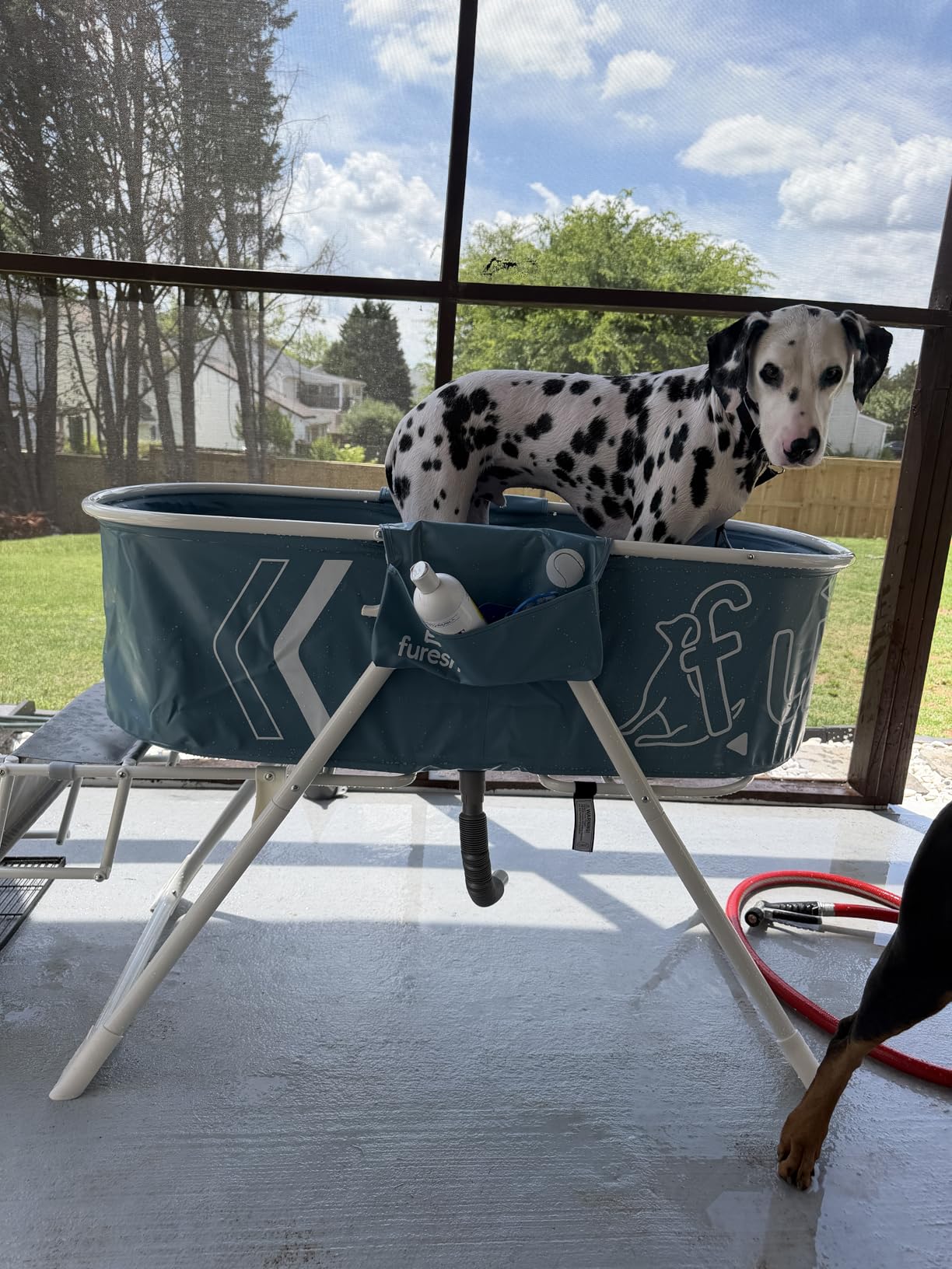 Furesh Big Dipper Dog Bath Tub with Stairs, Elevated Portable Foldable Wash Station with Steps for Bathing, Shower and Grooming, Indoor, Outdoor, for Medium to Large Size Dogs customer photo 2