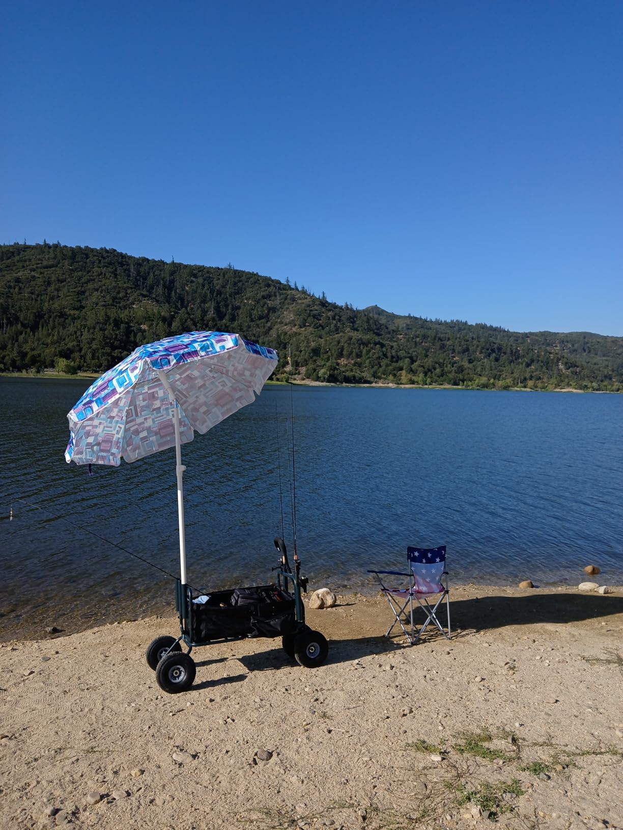 GDLF Fishing Cart Beach Carts Heavy Duty Foldable Collapsible Wagon with Big Wheels and Rod Holders 550 Pound Capacity 53.9