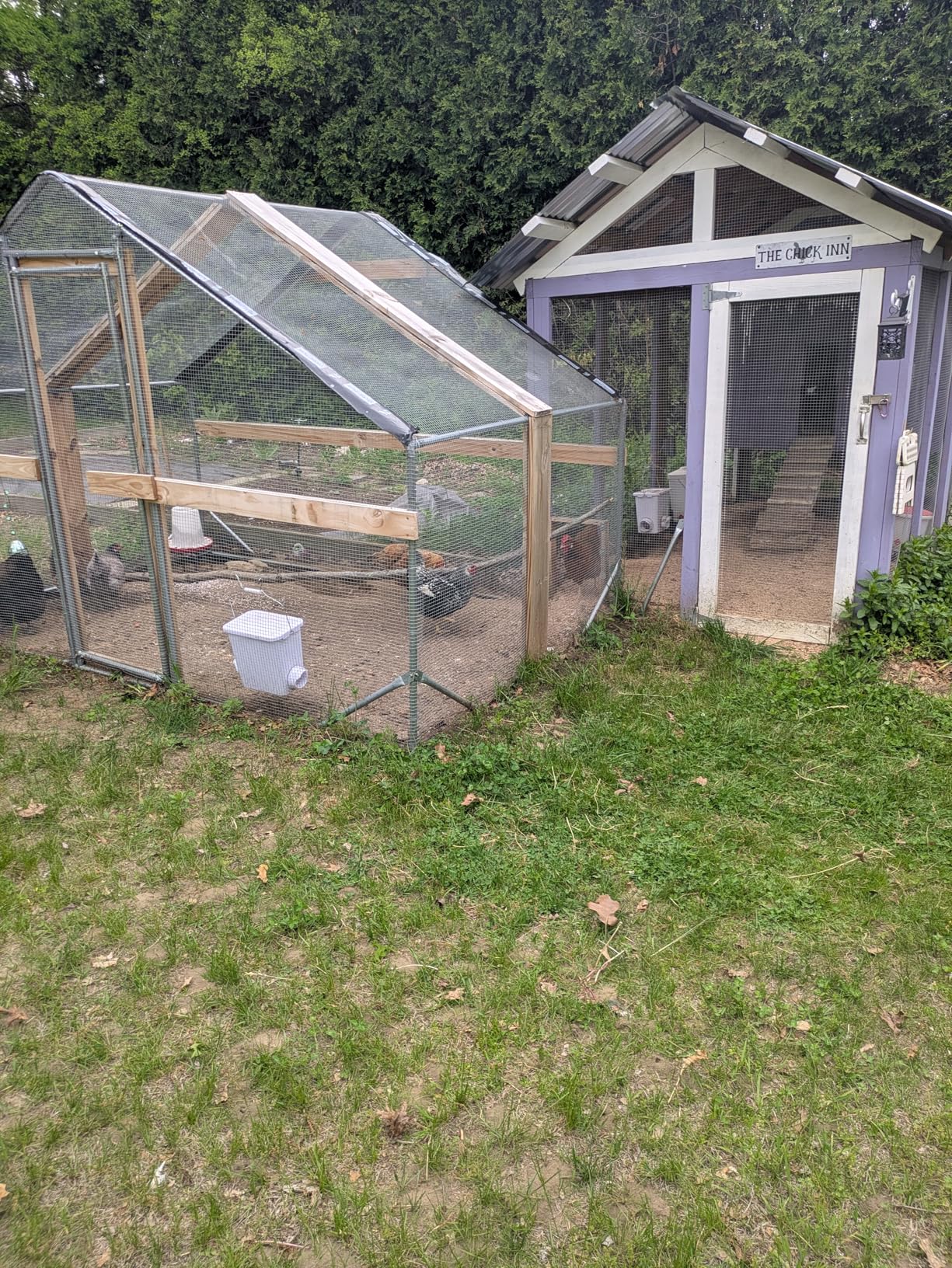 CHIKENCOOP Chicken Coop 9.8x6.5x6.5ft Large Metal Chicken Run for 6/10 Chickens Poultry Cage with Stability Corner Braces & Rear Support Pole, Roosting Perch, Walk-in Chicken Pen for Yard customer photo 2