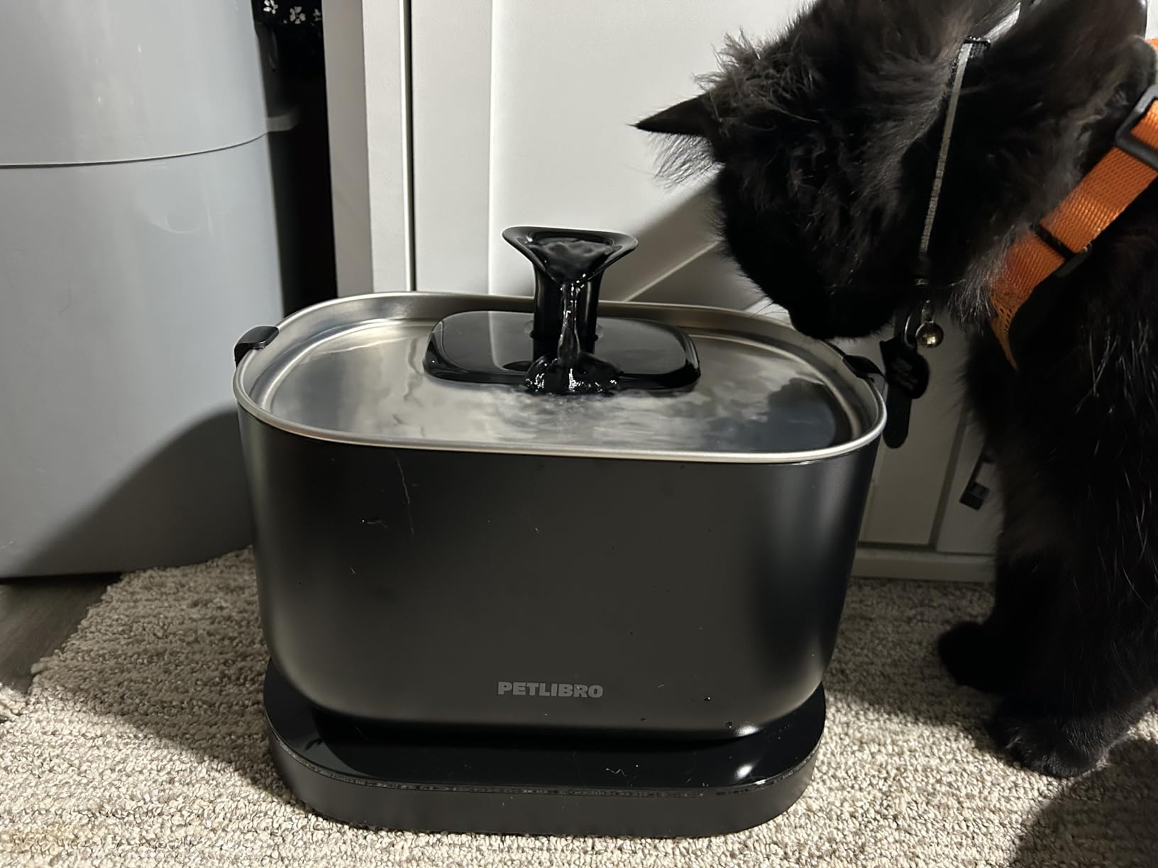 PETLIBRO Cat Water Fountain, Cordless Pet Water Fountain Battery Operated, 2.5L/84oz Dockstream Water Fountains for Cats Indoor, Cat Fountain with Stainless Steel Tray customer photo 1