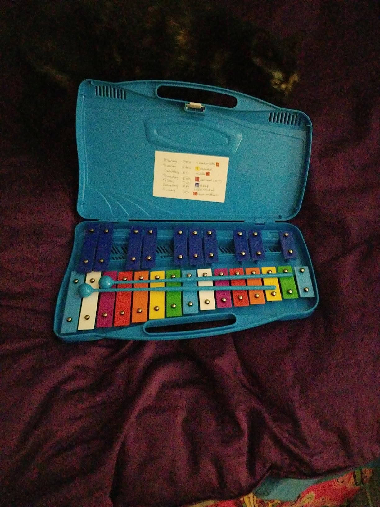 Eavnbaek 25 Notes Glockenspiel Xylophone, Professional Xylophone Percussion Instrument with Hard Case and Safe Mallets, for Student Beginners, Music Teaching and Gifts (Blue) customer photo 1