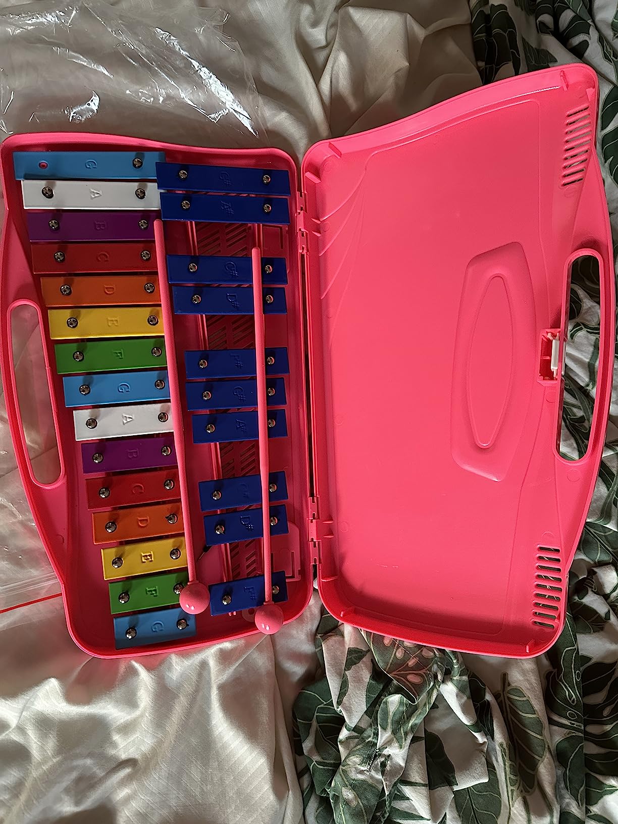 Eavnbaek 25 Notes Glockenspiel Xylophone, Professional Xylophone Percussion Instrument with Hard Case and Safe Mallets, for Student Beginners, Music Teaching and Gifts (Blue) customer photo 2