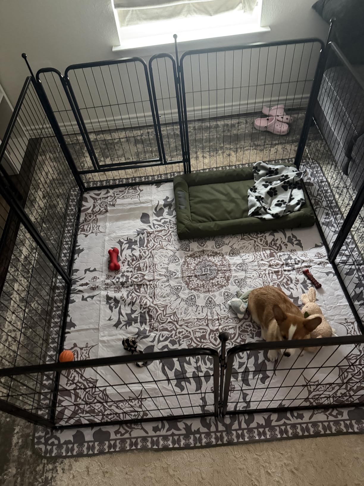 FXW Rollick Unleashed Dog Playpen for Indoor, Yard, RV Camping, 24 inch 8 Panels for Small and Puppy Dogs, Black customer photo 2