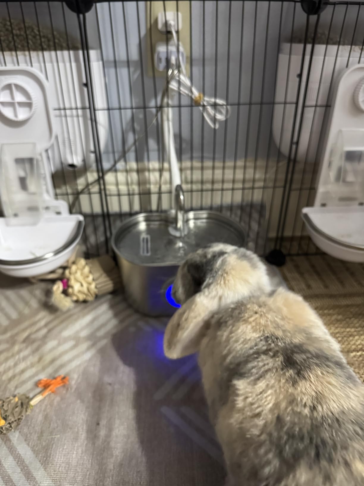 Cat Water Fountain Stainless Steel: 108oz/3.2L Cat Fountain for Drinking - Pet Water Fountain Inside, Automatic Dog Watering Dispenser Bowl - Water Level Window customer photo 2